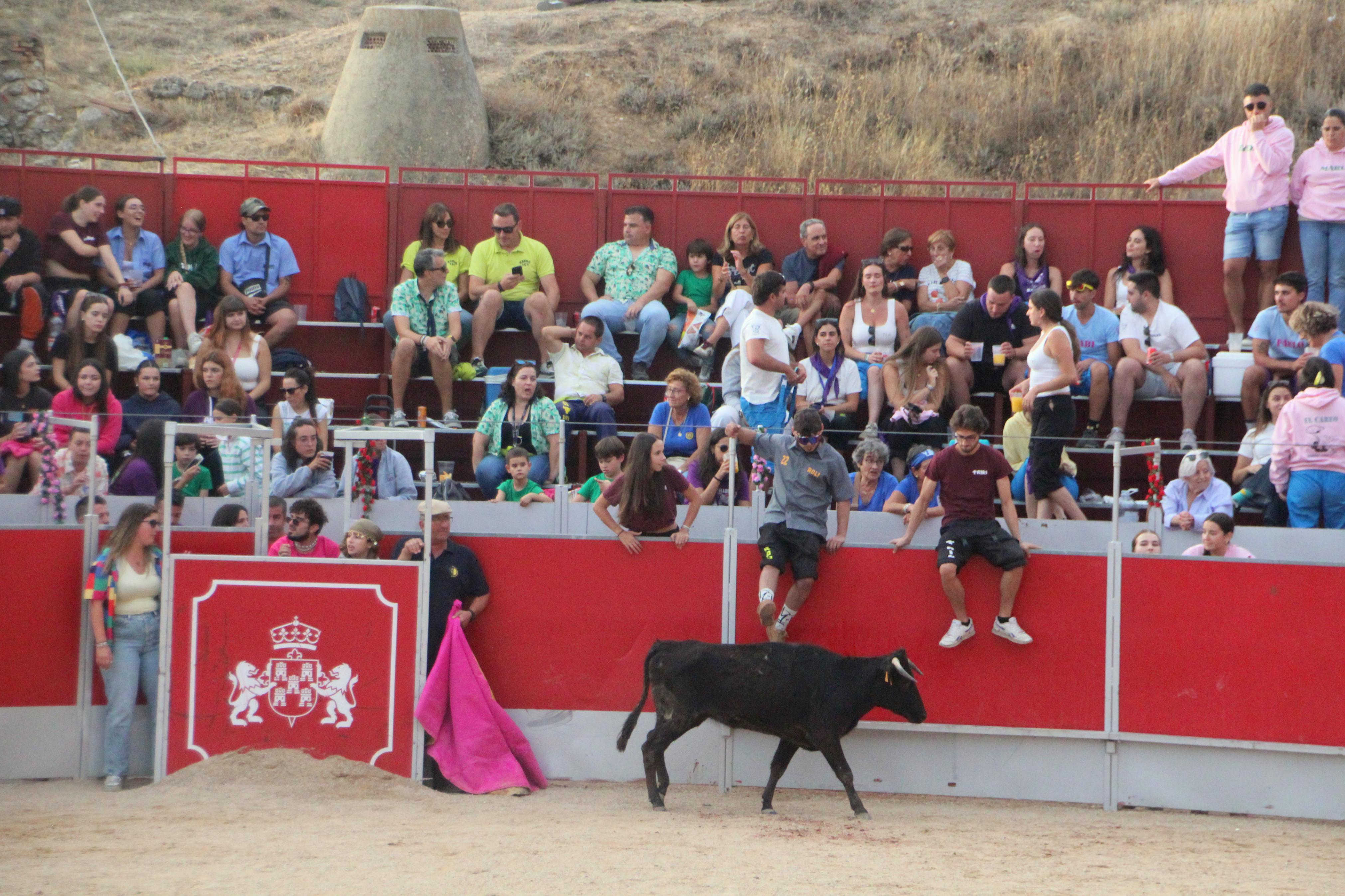Festejos Taurinos en Baltanás