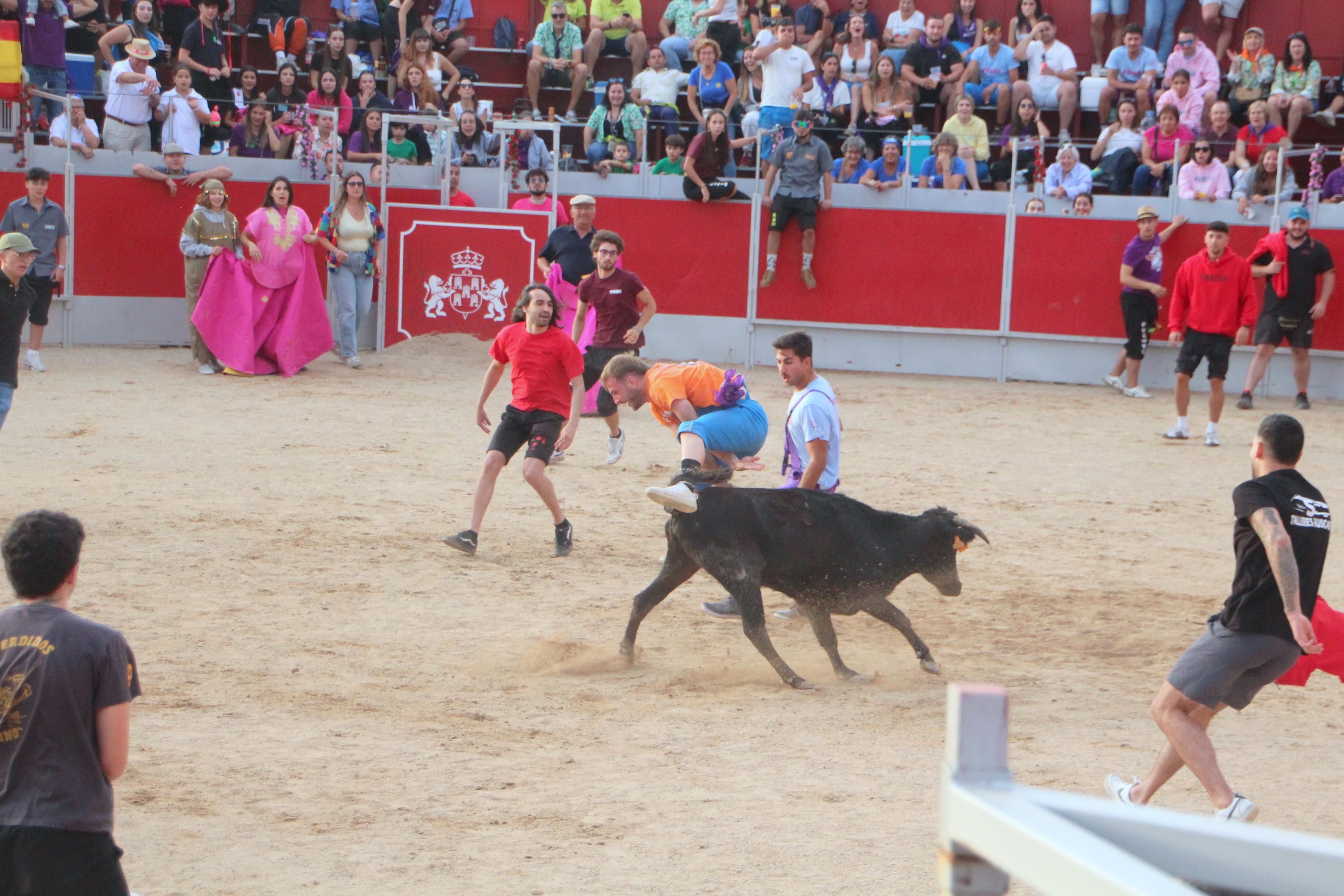 Festejos Taurinos en Baltanás