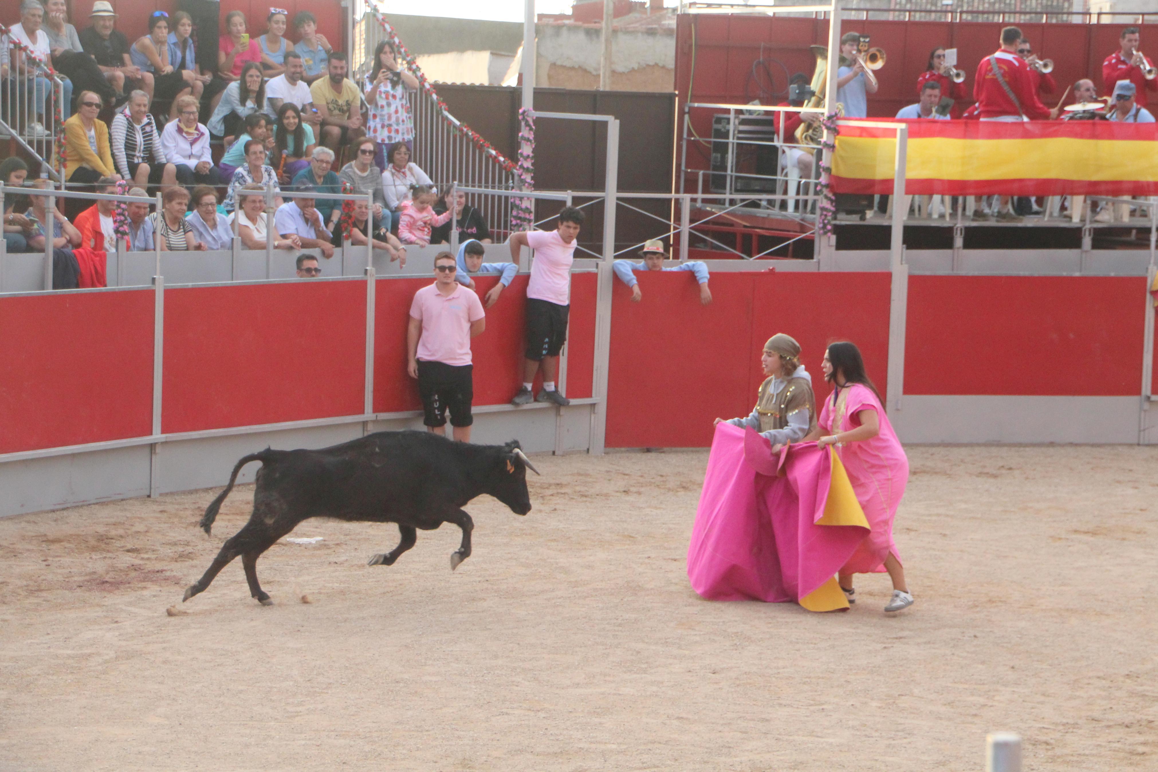 Festejos Taurinos en Baltanás