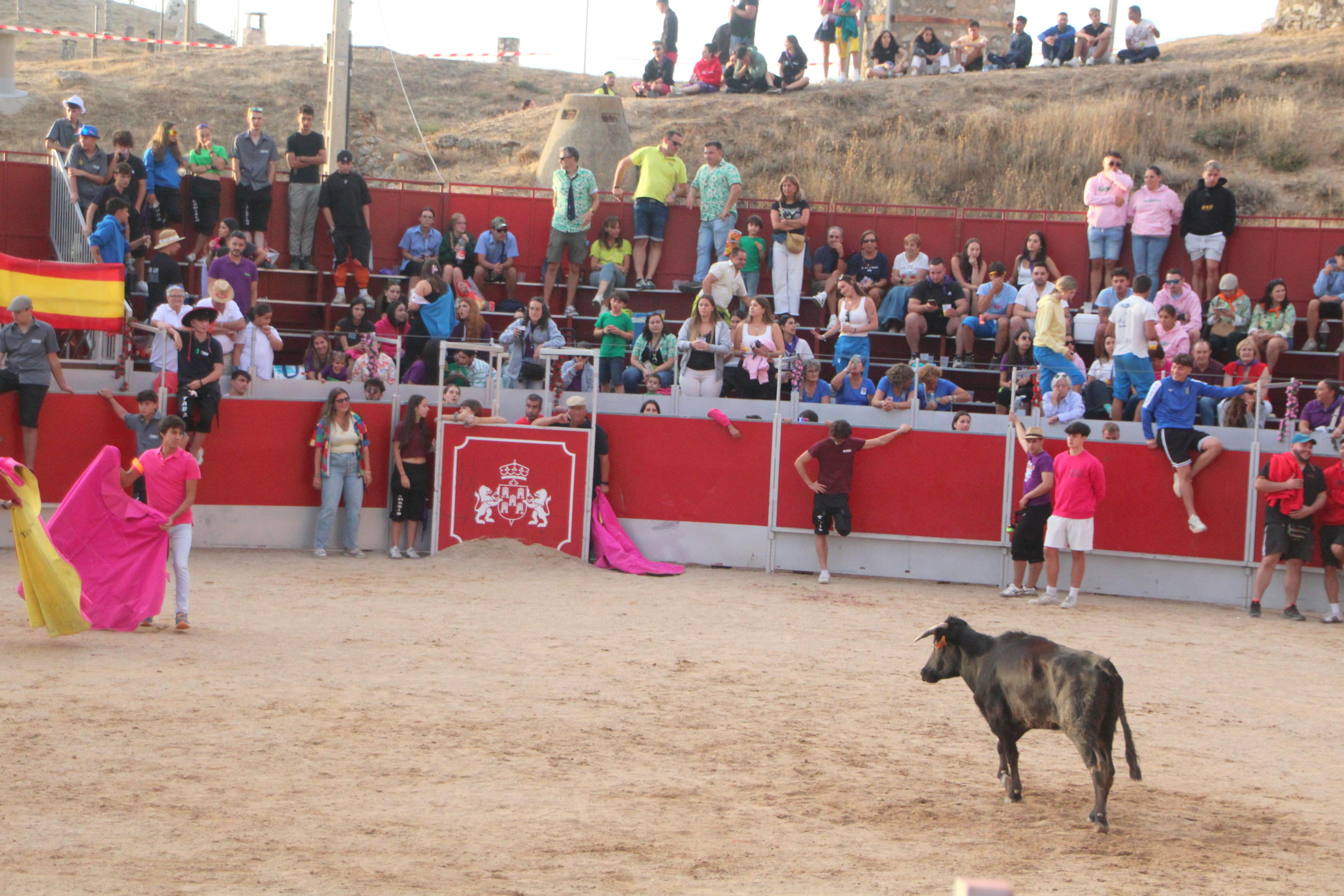 Festejos Taurinos en Baltanás
