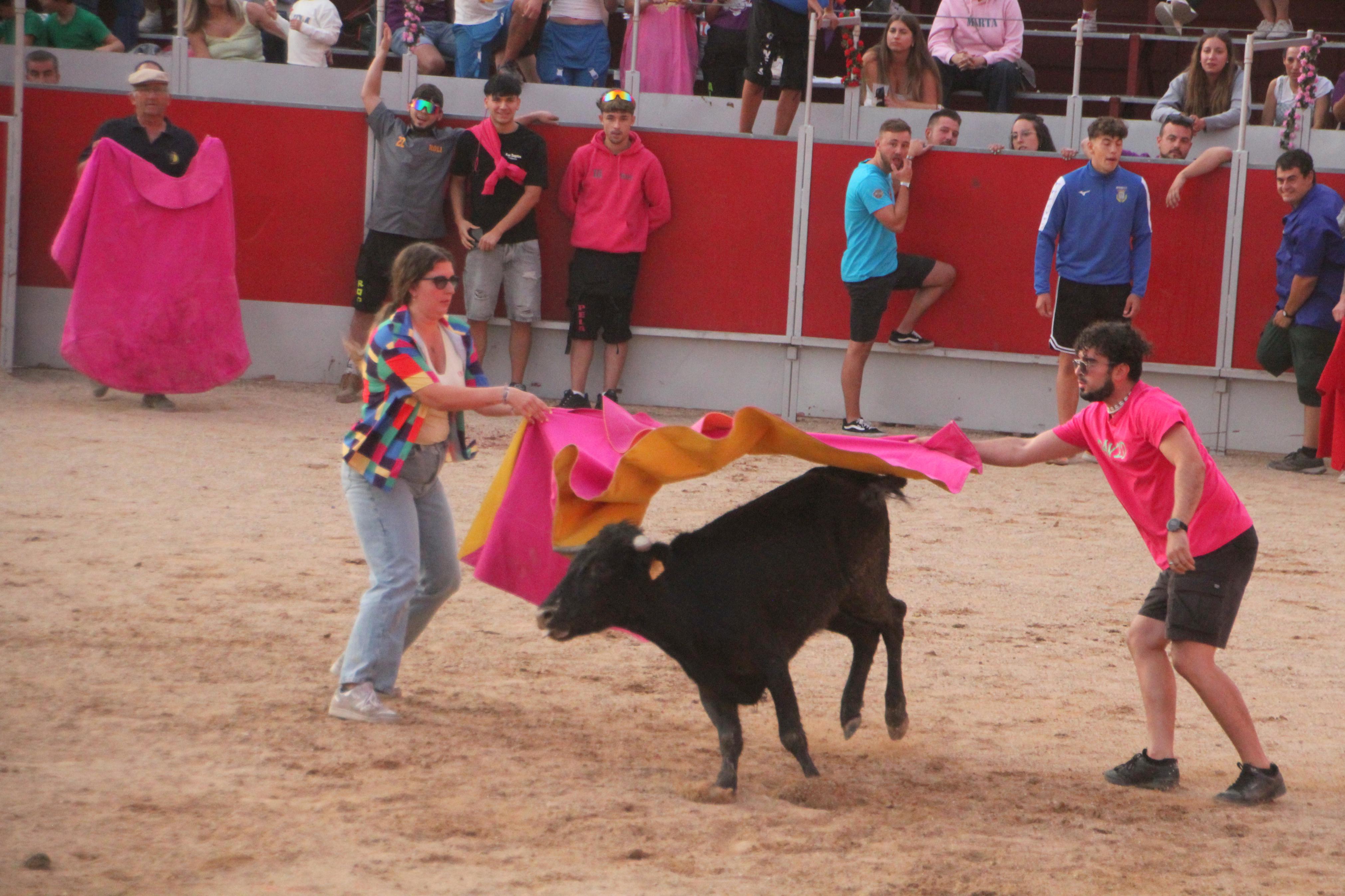 Festejos Taurinos en Baltanás