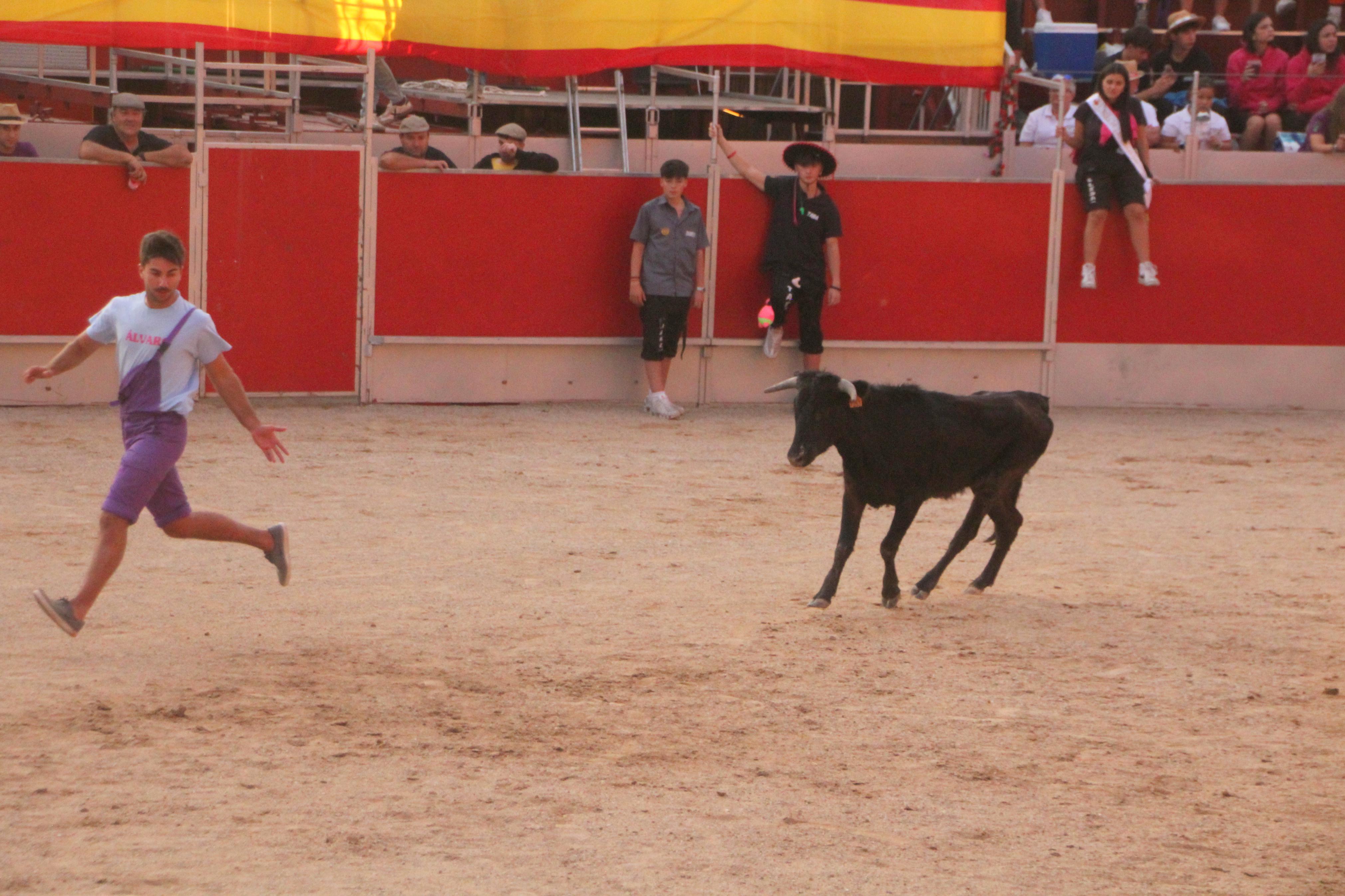 Festejos Taurinos en Baltanás