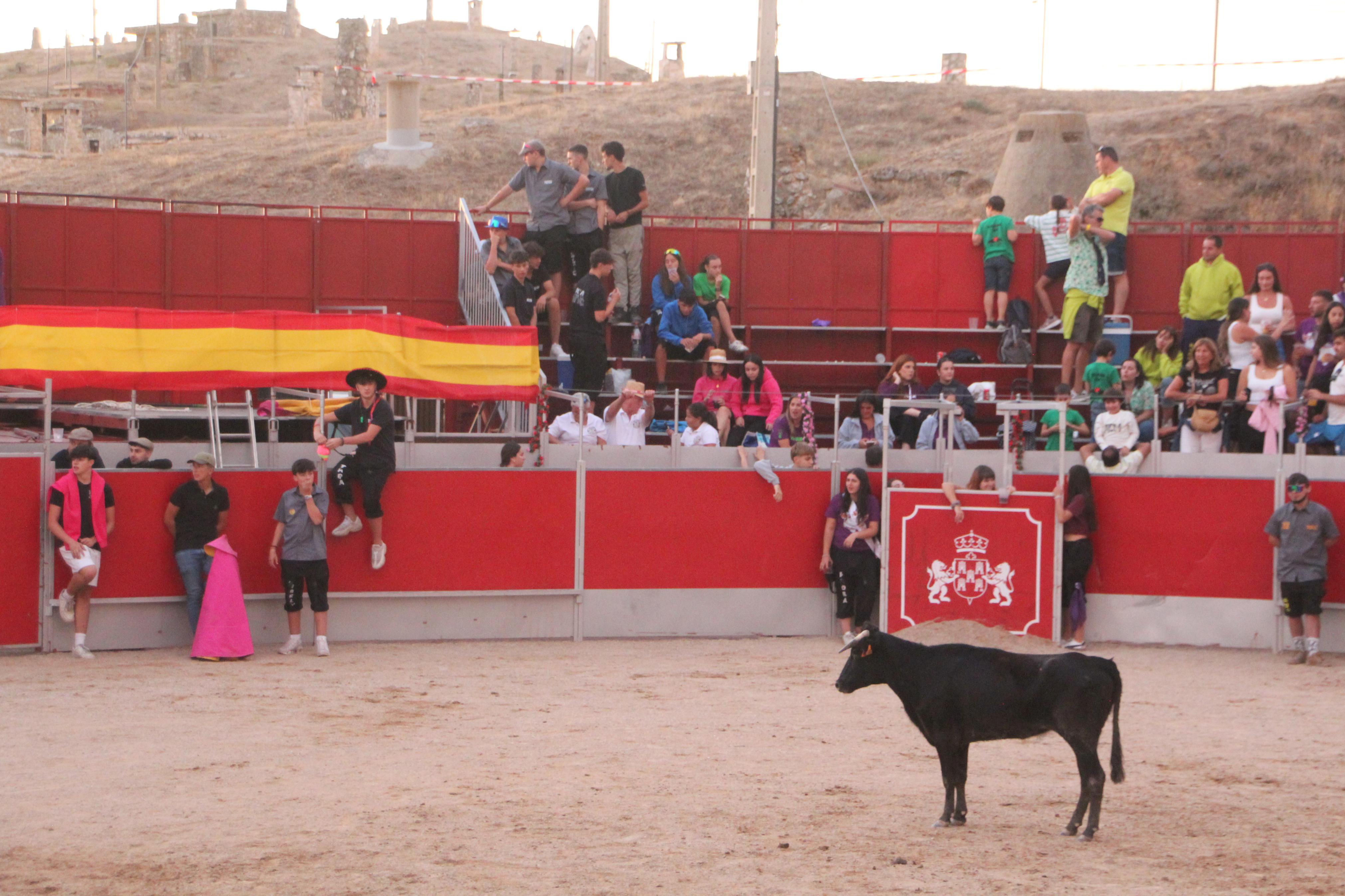 Festejos Taurinos en Baltanás