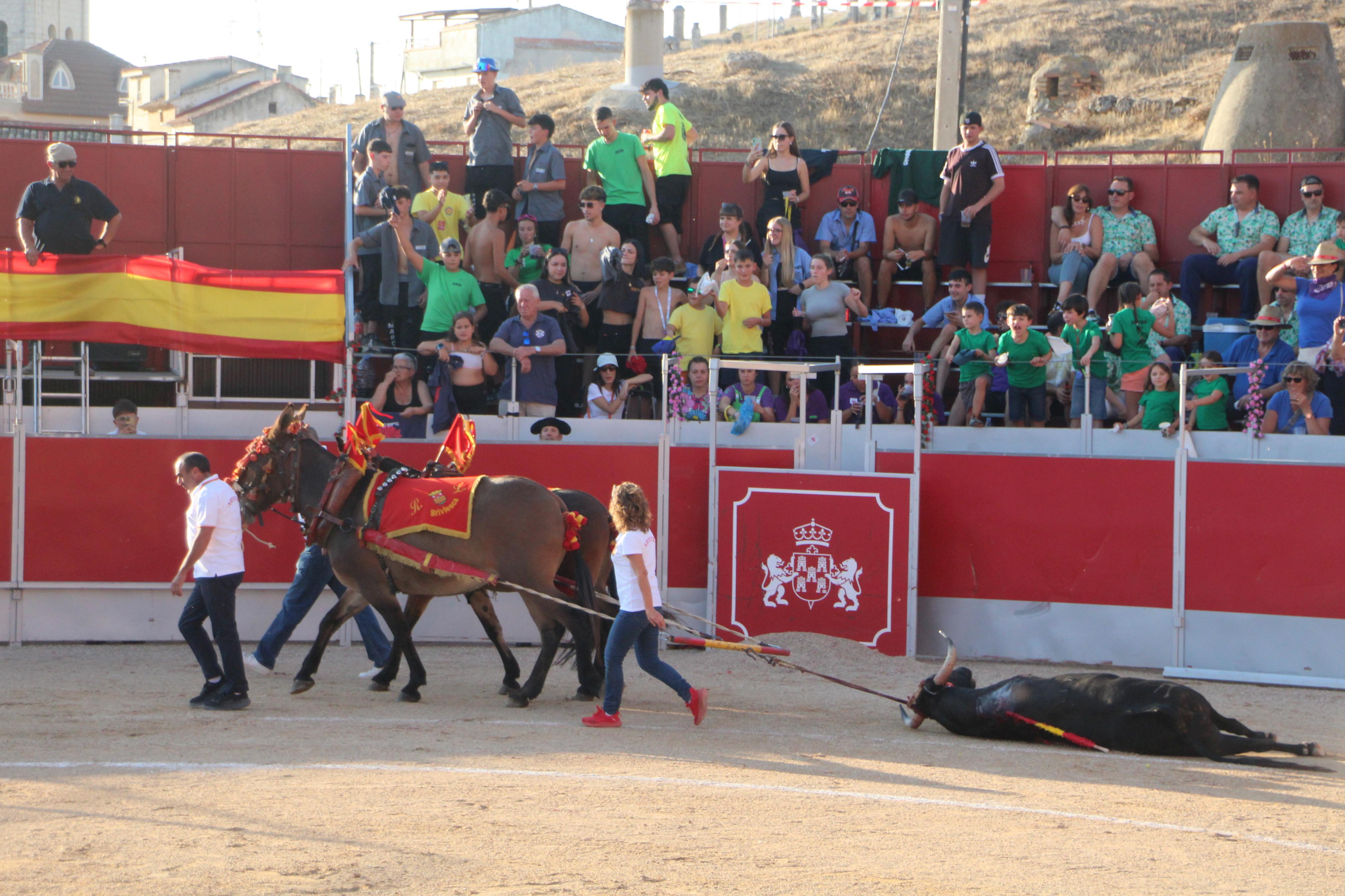 Festejos Taurinos en Baltanás