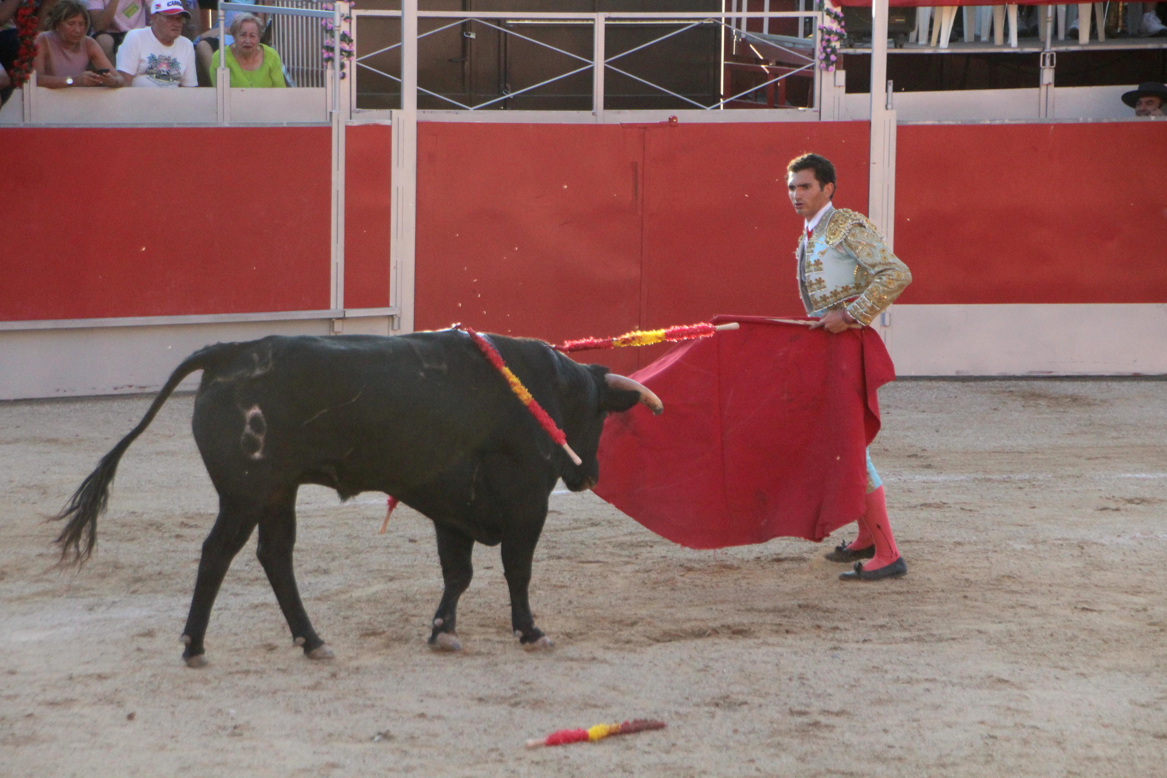 Festejos Taurinos en Baltanás