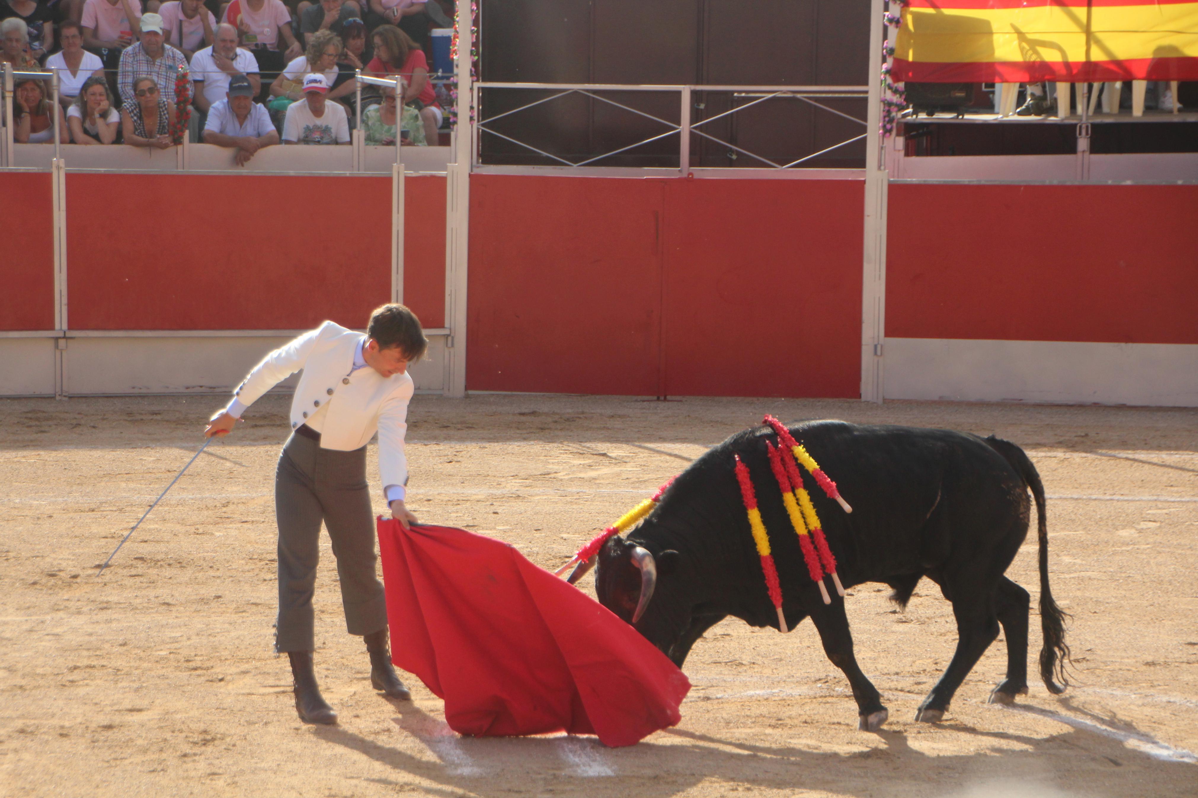 Festejos Taurinos en Baltanás