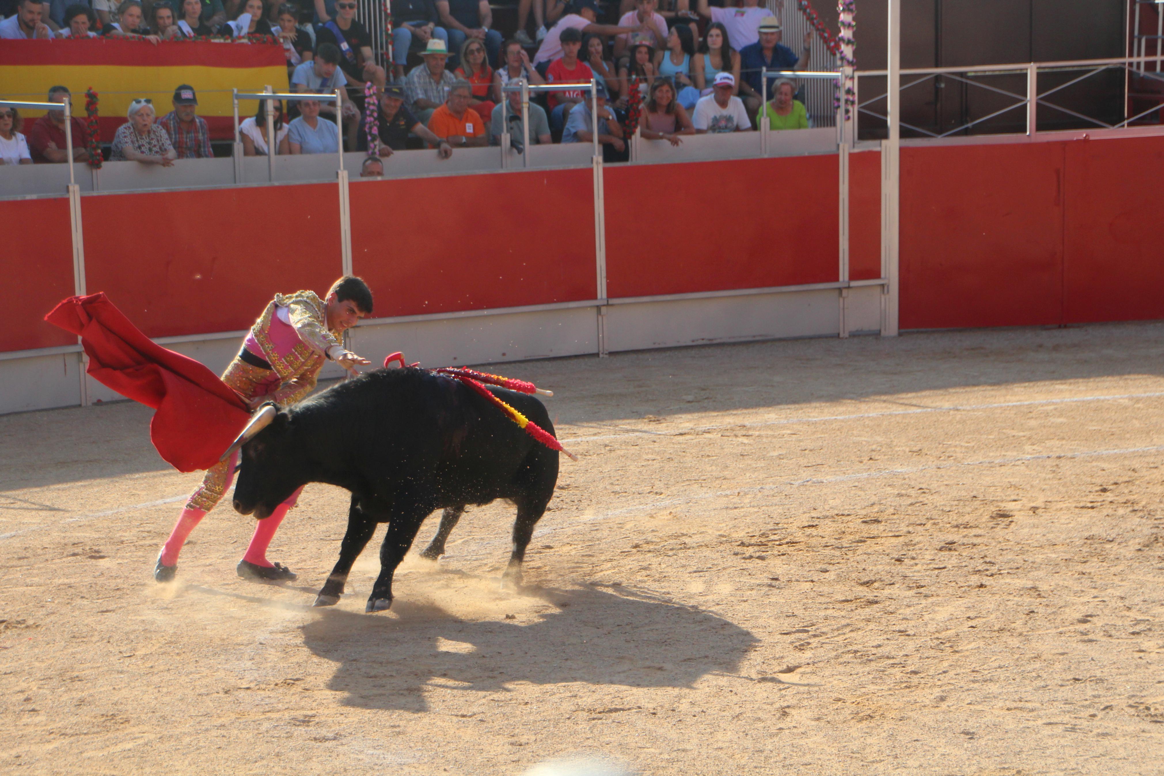 Festejos Taurinos en Baltanás