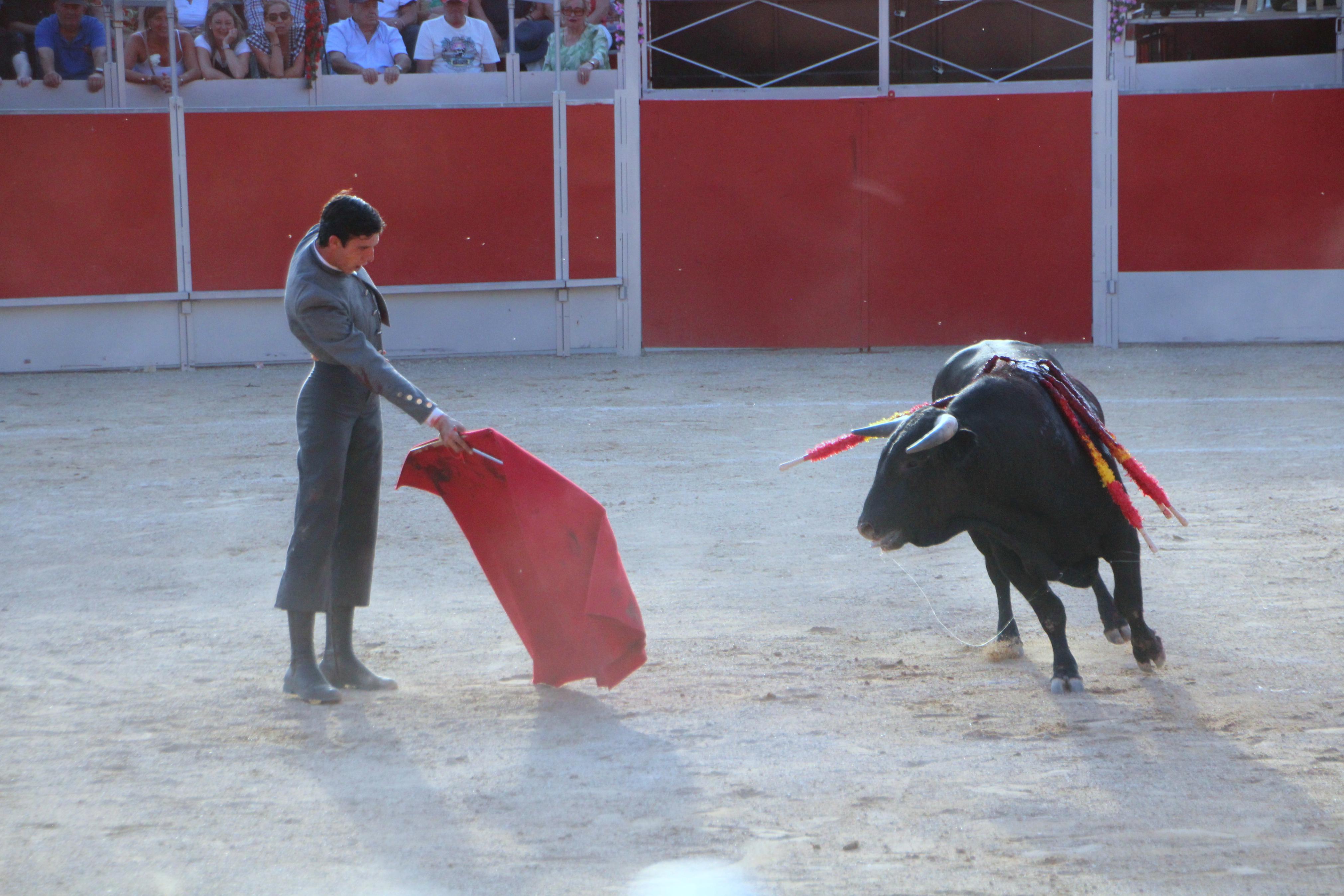 Festejos Taurinos en Baltanás