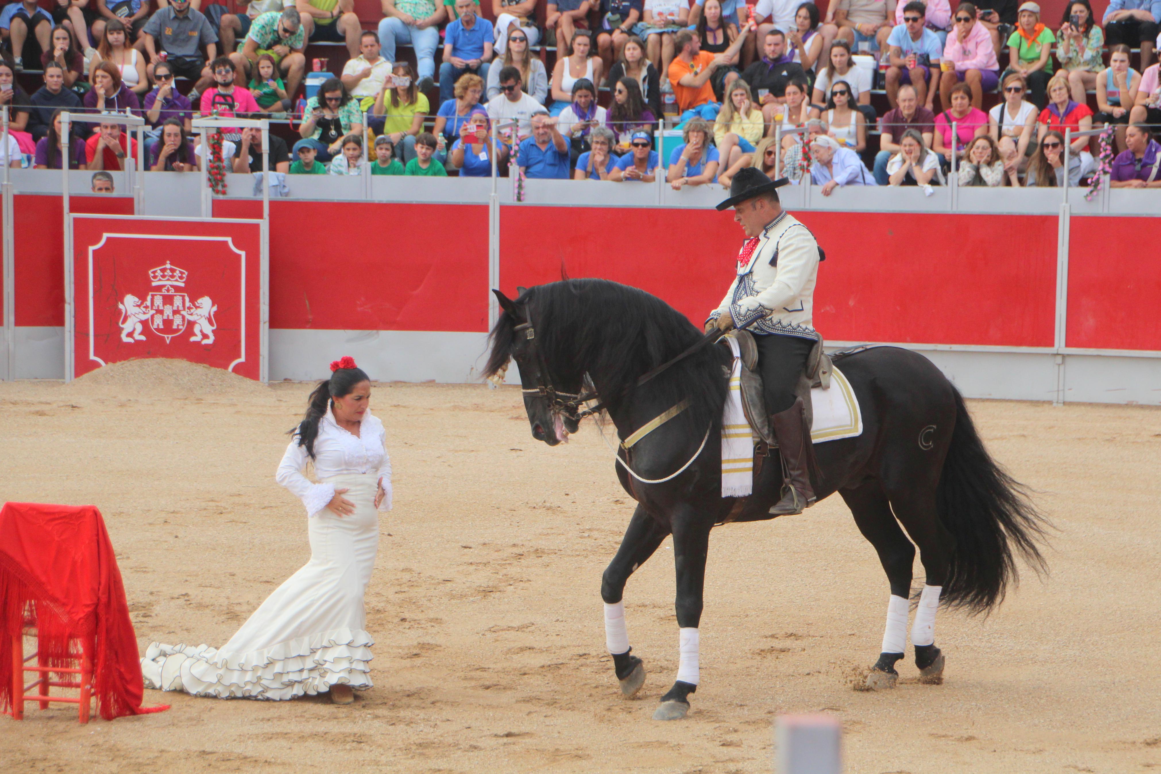 Festejos Taurinos en Baltanás