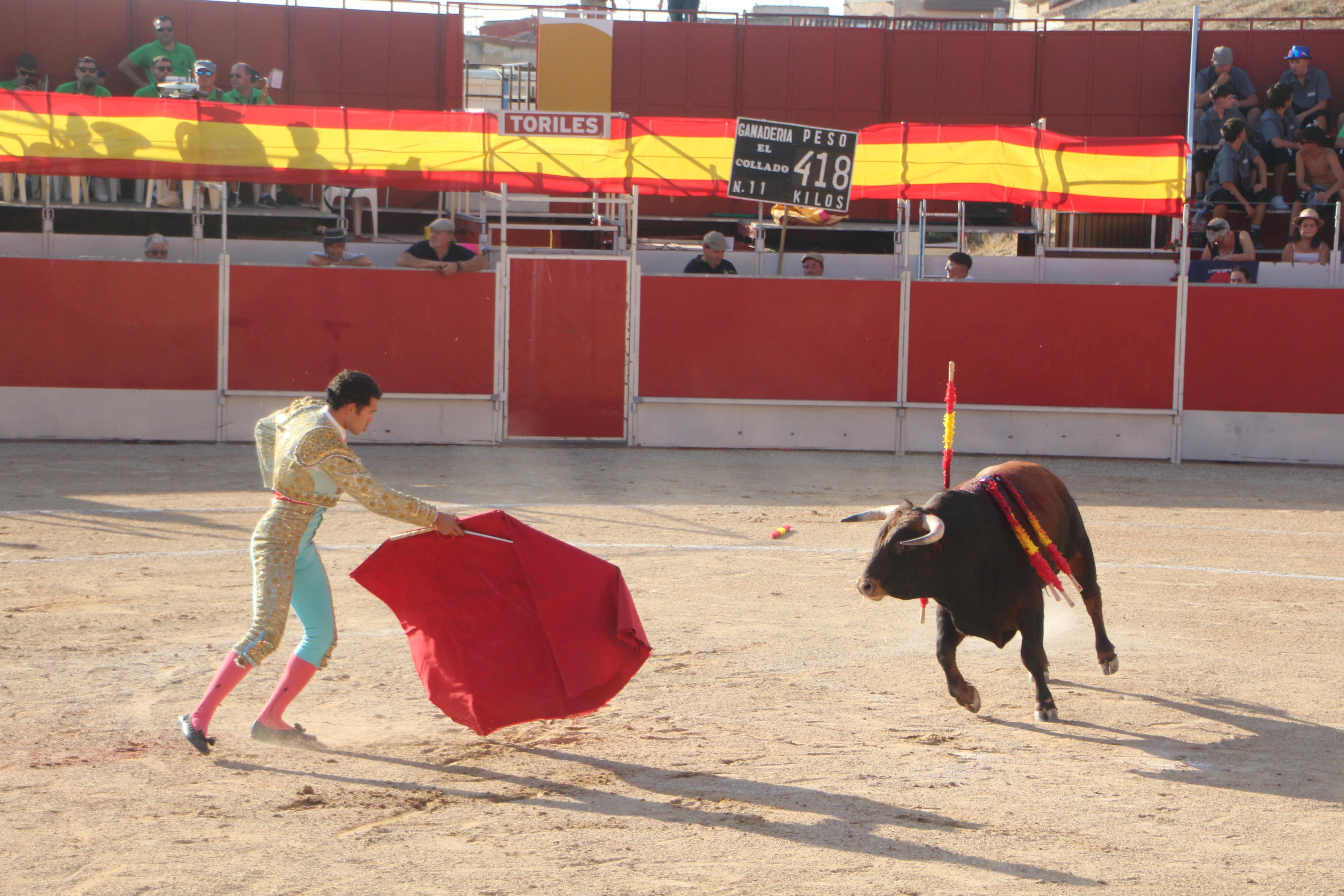 Festejos Taurinos en Baltanás