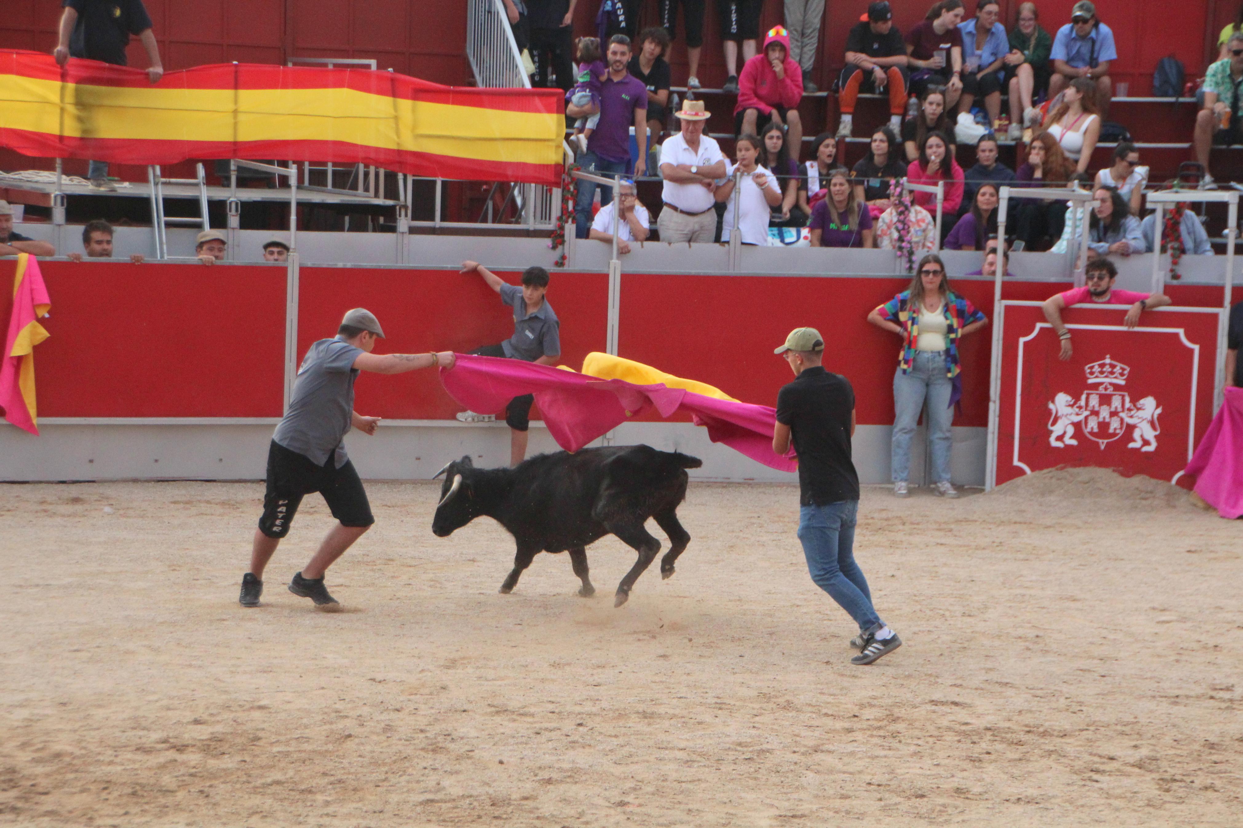 Festejos Taurinos en Baltanás