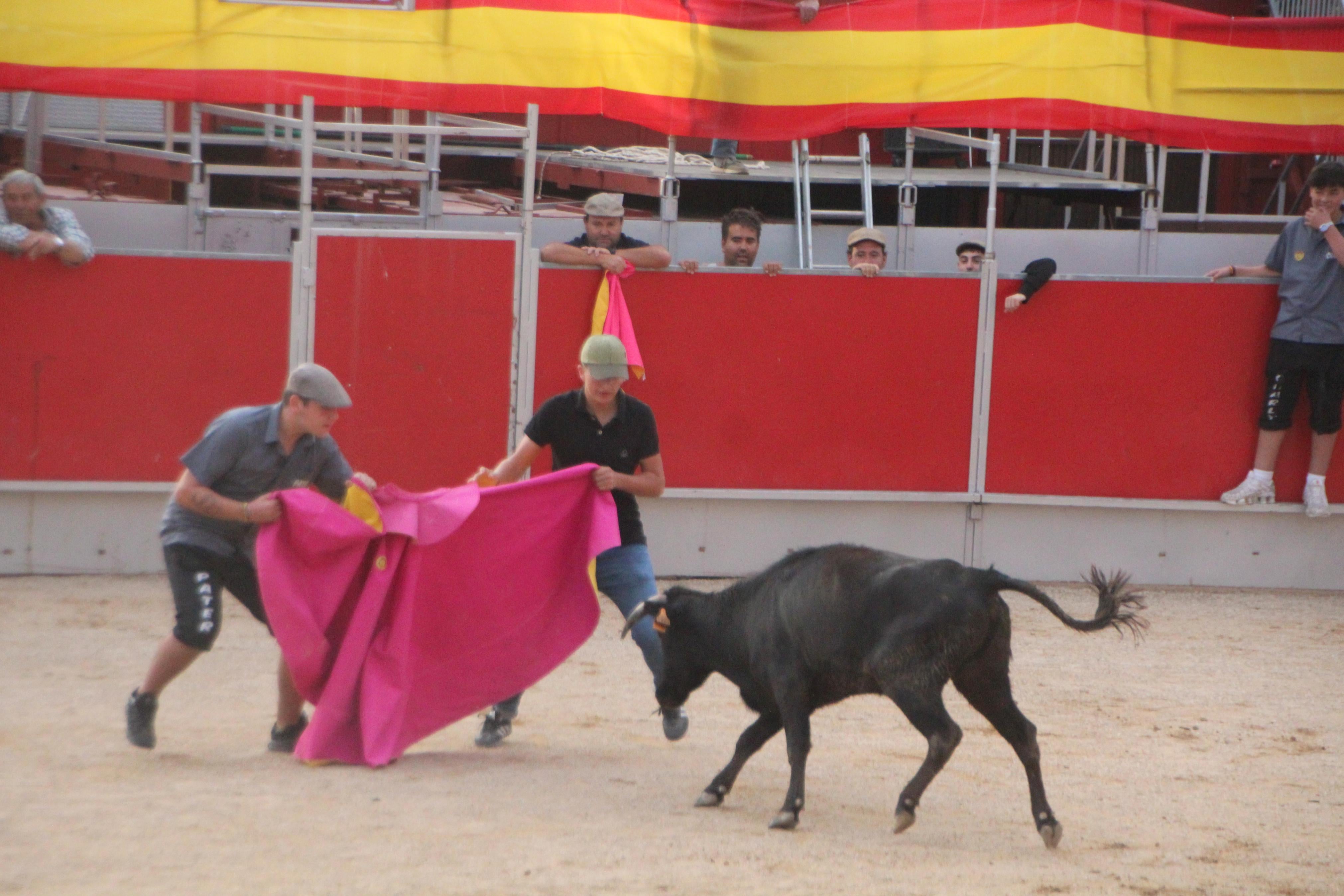 Festejos Taurinos en Baltanás