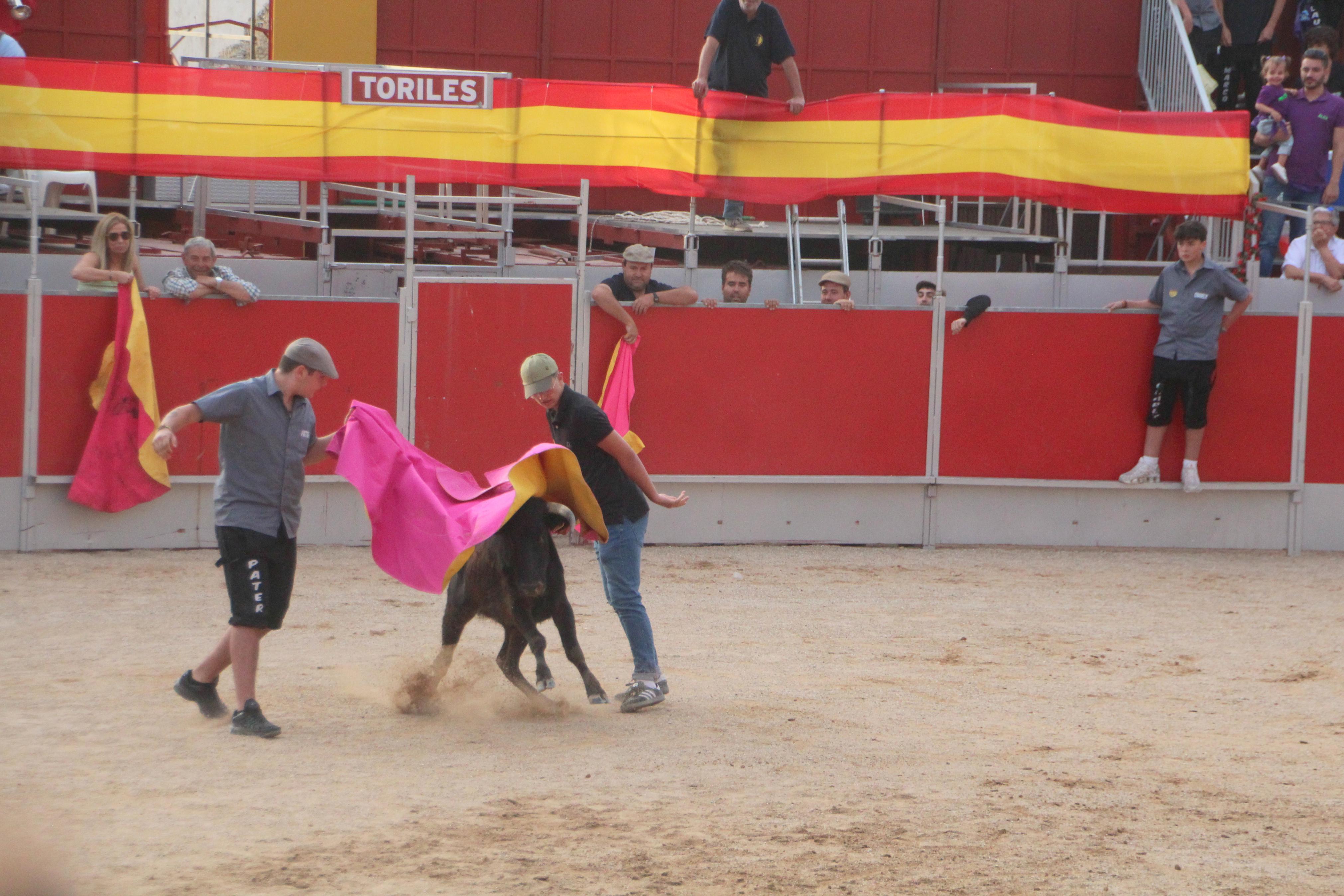 Festejos Taurinos en Baltanás