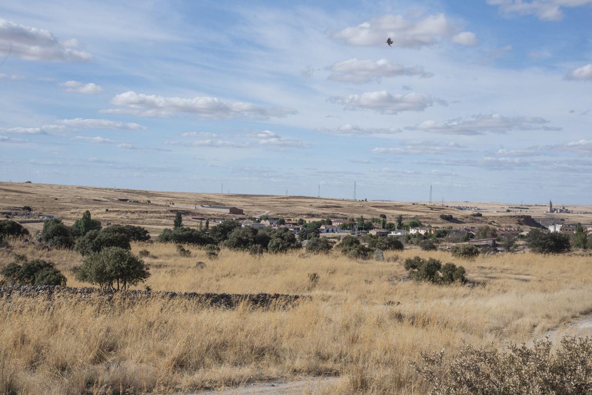 Terrenos del futuro área industrial de La Costanilla, con Hontoria al fondo.