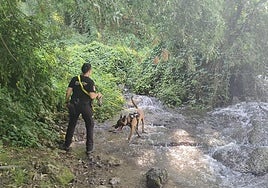 Labores de búsqueda de la mujer en el río.