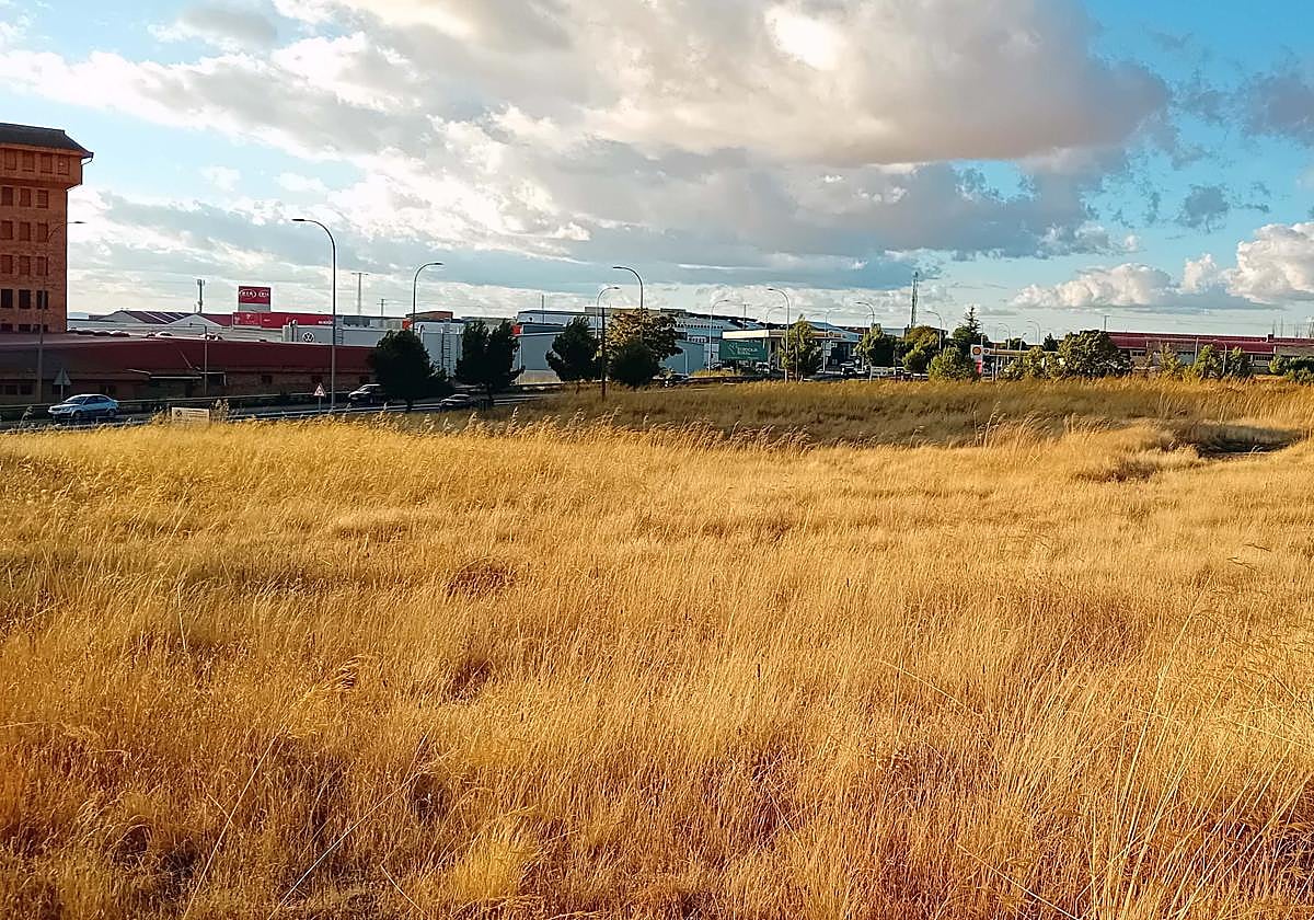 Terrenos que ocupará el futuro recinto ferial de Segovia.
