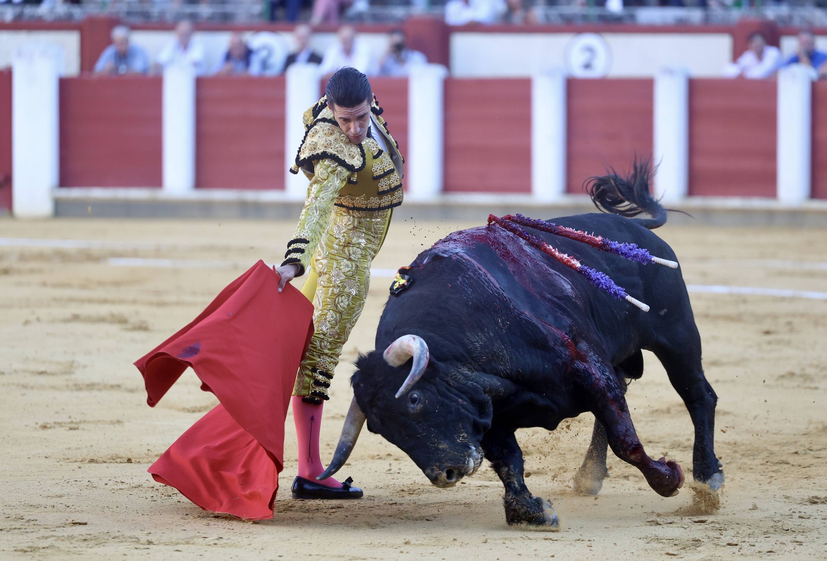 El mano a mano de Talavante y Emilio de Justo, en imágenes