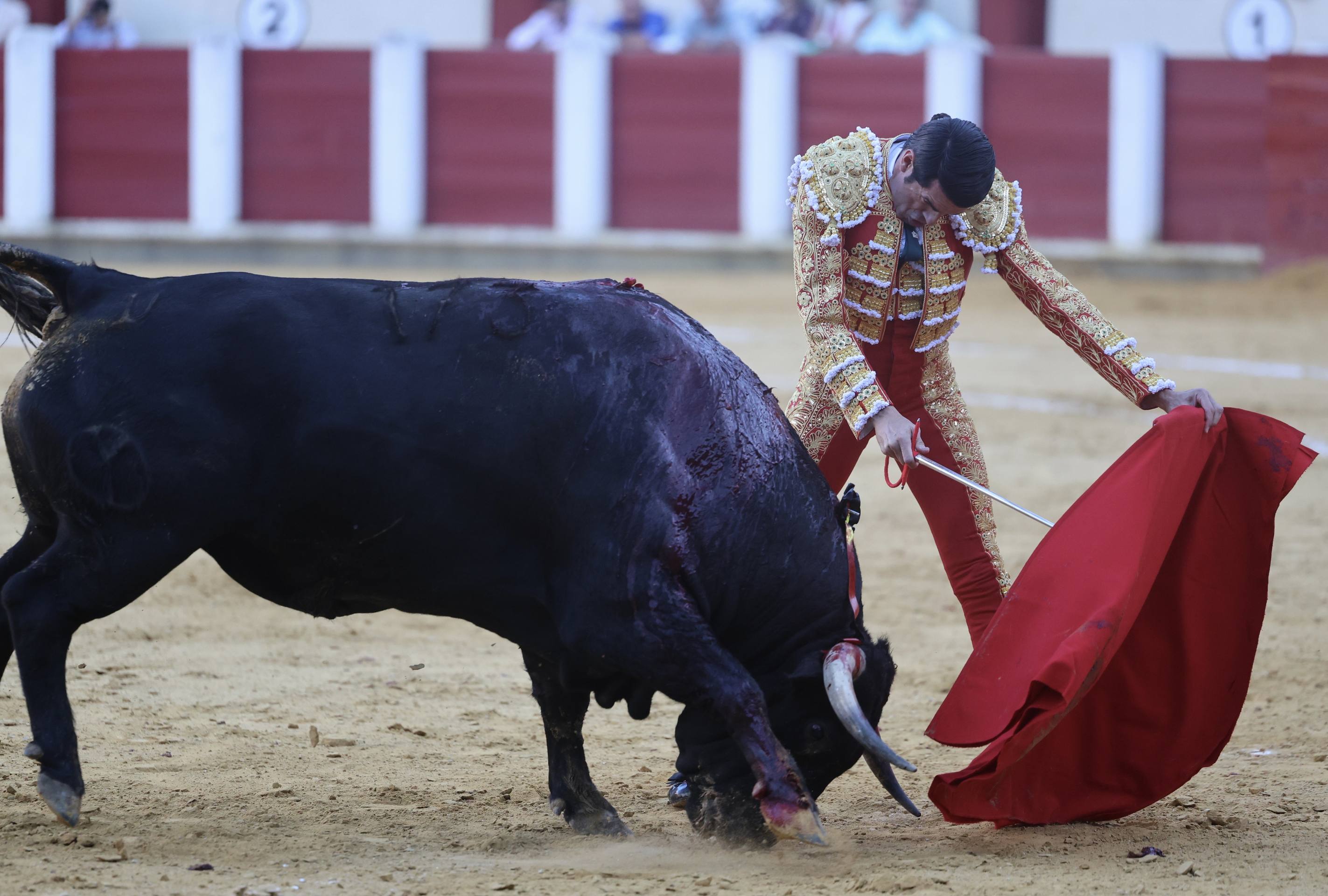 El mano a mano de Talavante y Emilio de Justo, en imágenes