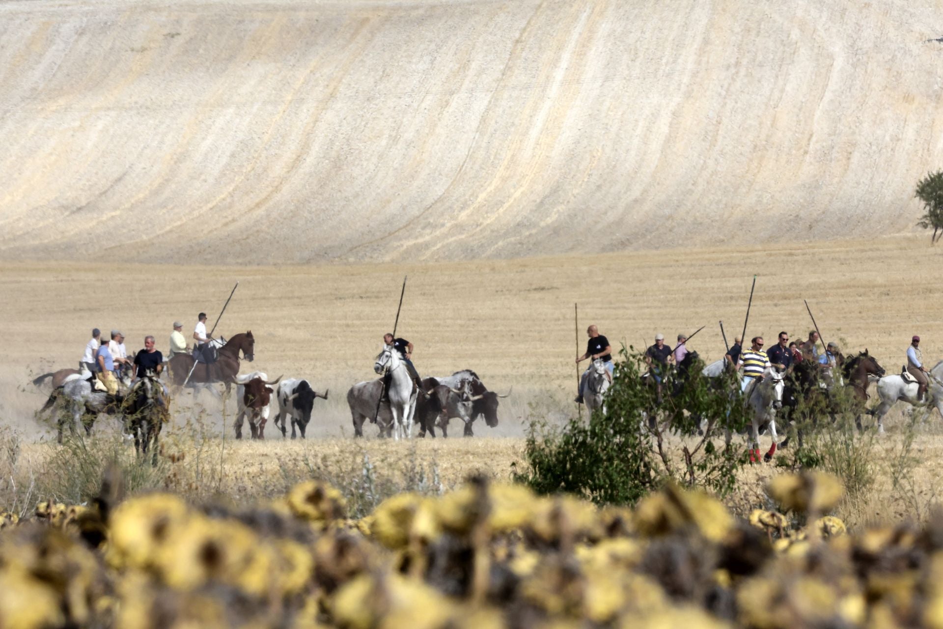 El encierro de Portillo, en imágenes