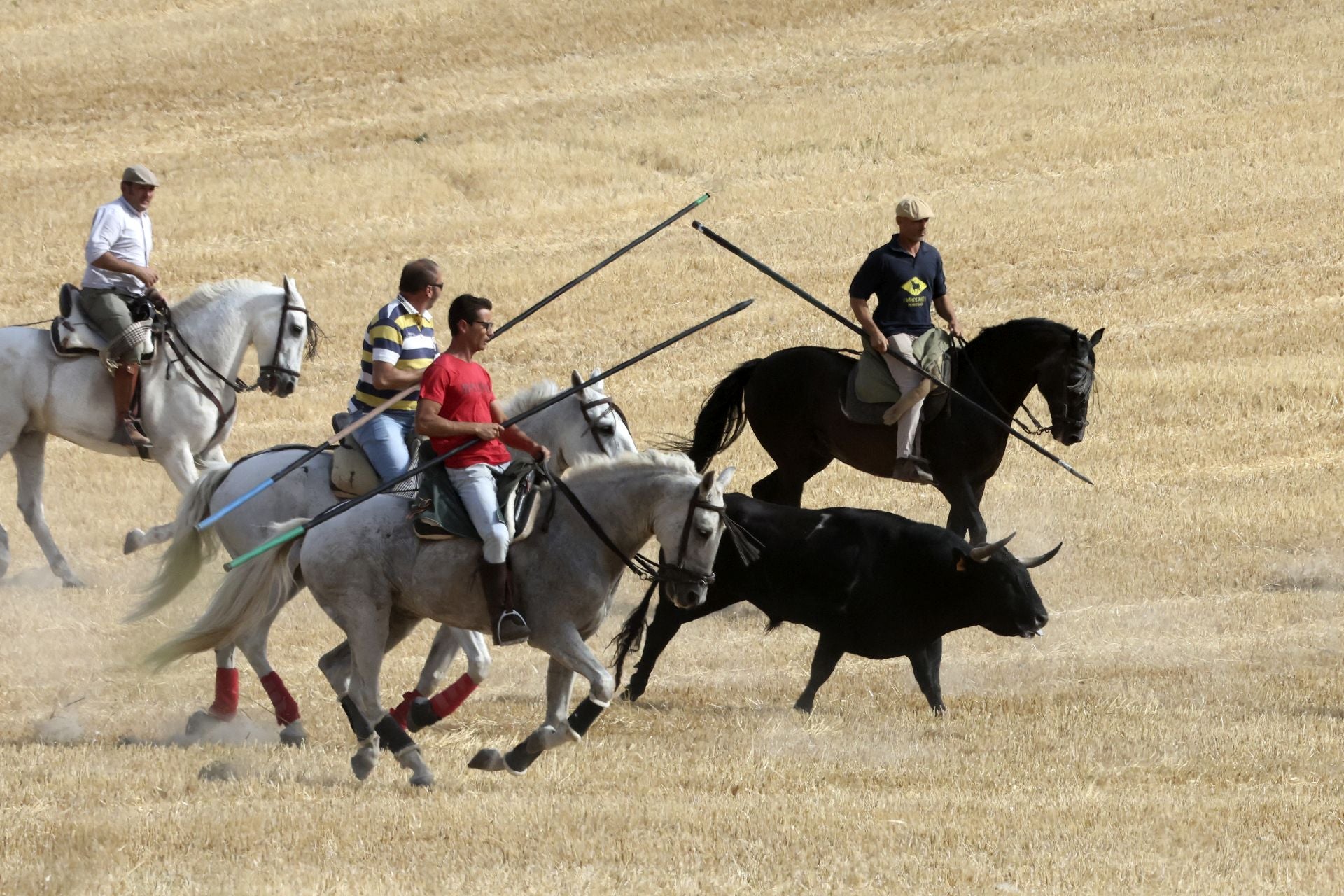 El encierro de Portillo, en imágenes