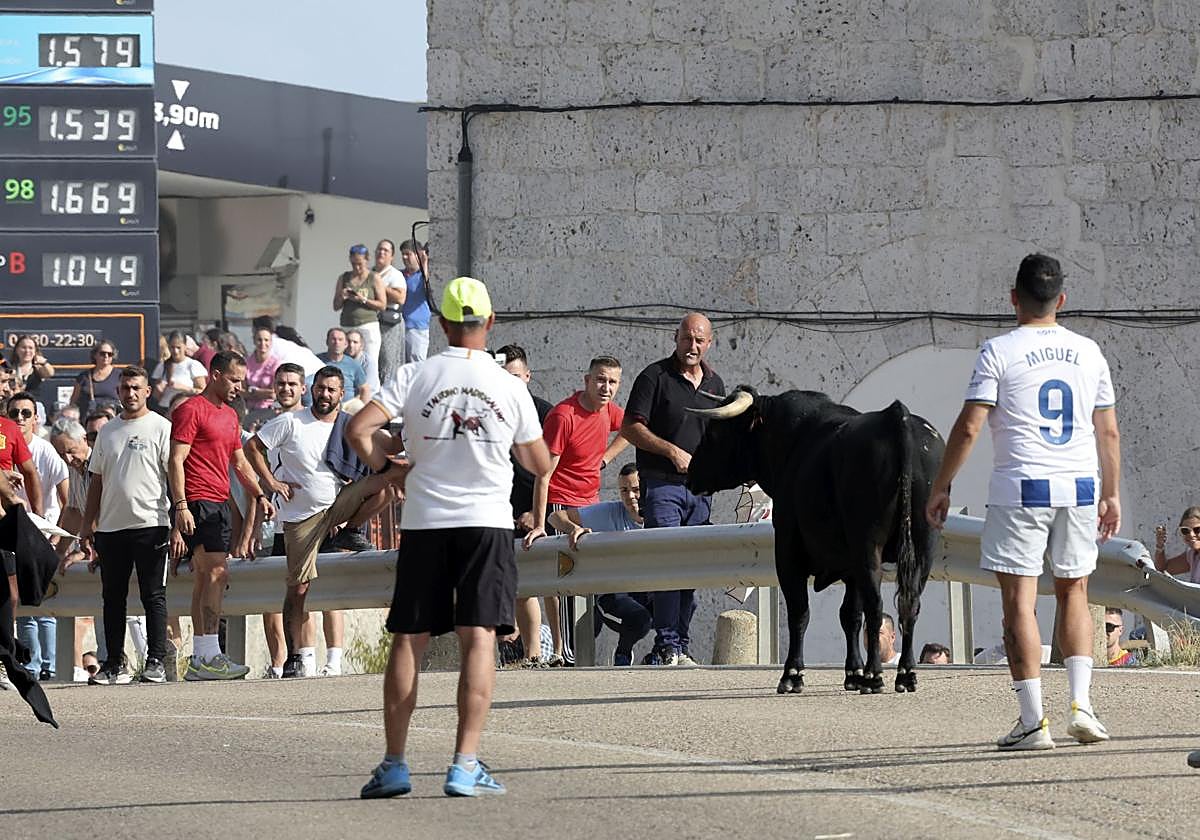 El último toro, en la gasolinera de Arrabal ante decenas de aficionados.