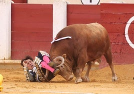 Roca Rey, en el suelo tras ser prendido por el segundo de la tarde.