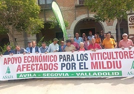 Algunos de los viticultores reunidos en la protesta de este viernes.