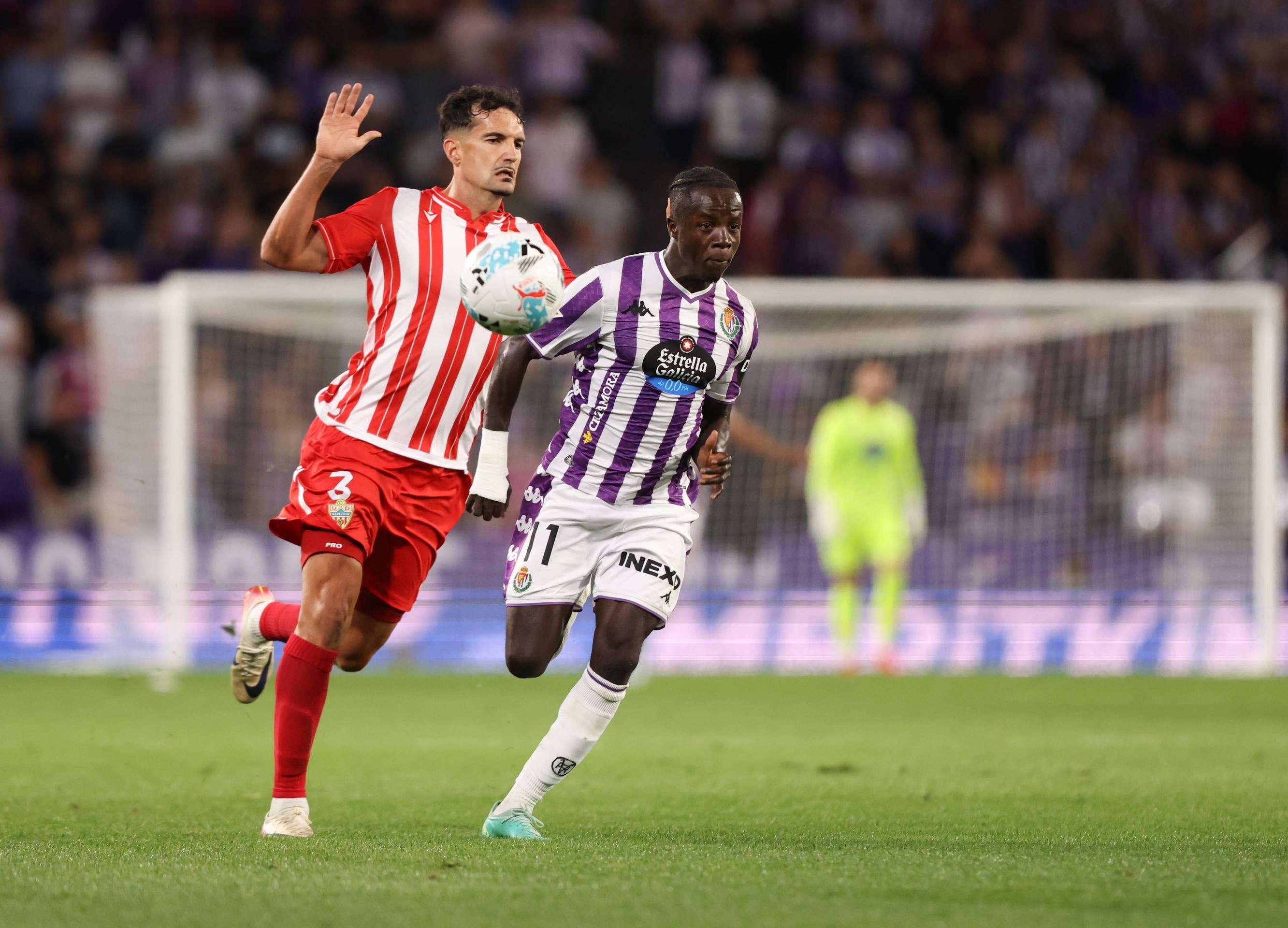 La victoria del Pucela ante el Almería, en imágenes