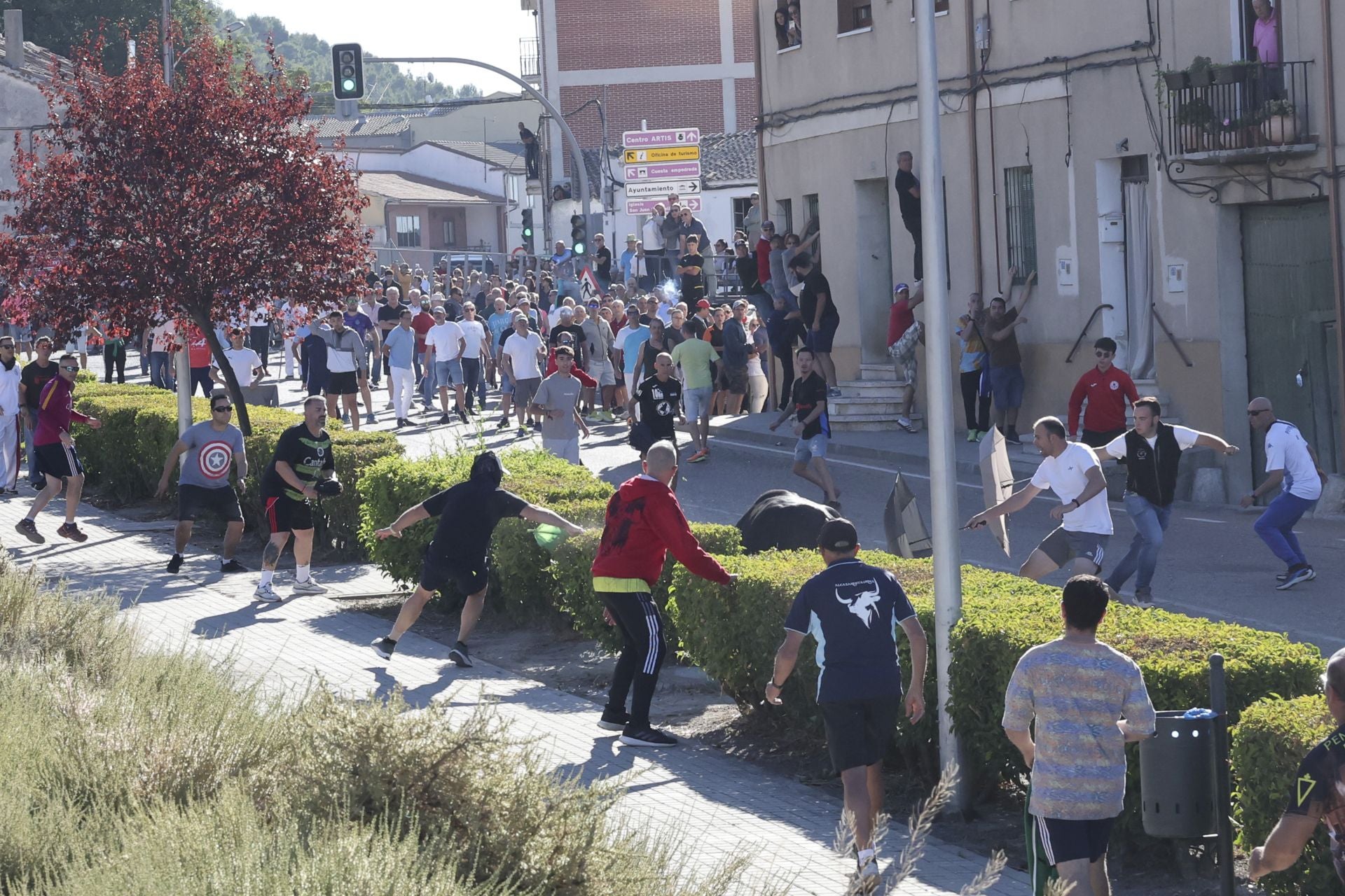 Las imágenes del último encierro en Arrabal de Portillo