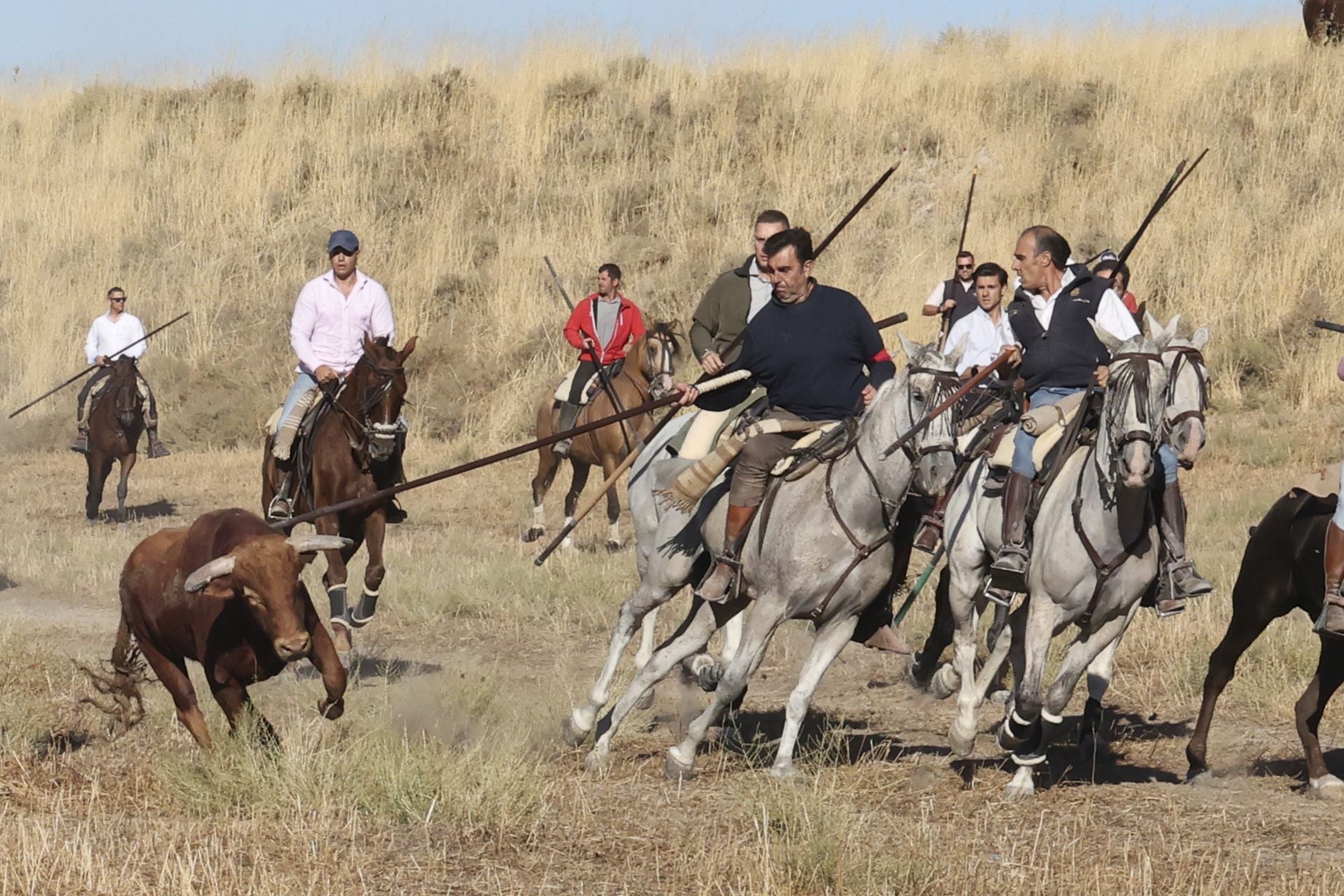 Las imágenes del último encierro en Arrabal de Portillo