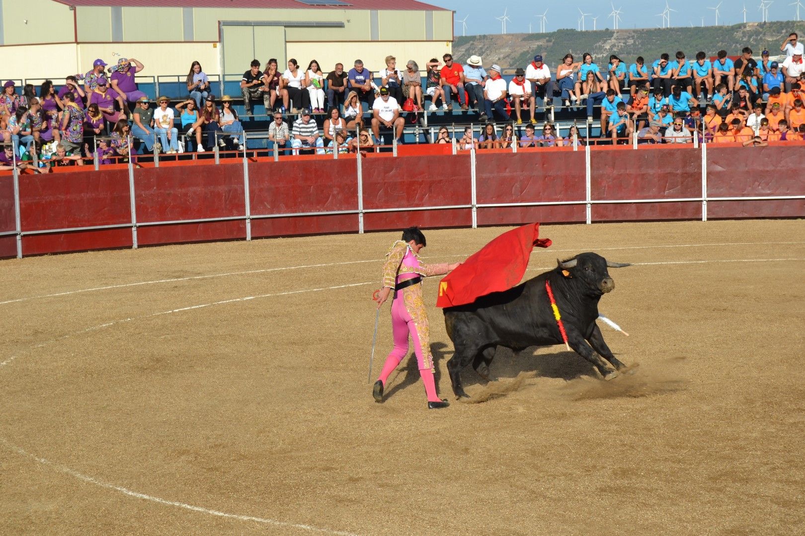 Novillada y día grande de las Fiestas de la Santa Cruz de Astudillo