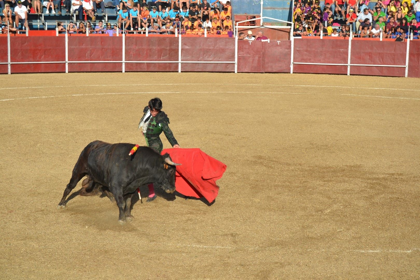 Novillada y día grande de las Fiestas de la Santa Cruz de Astudillo