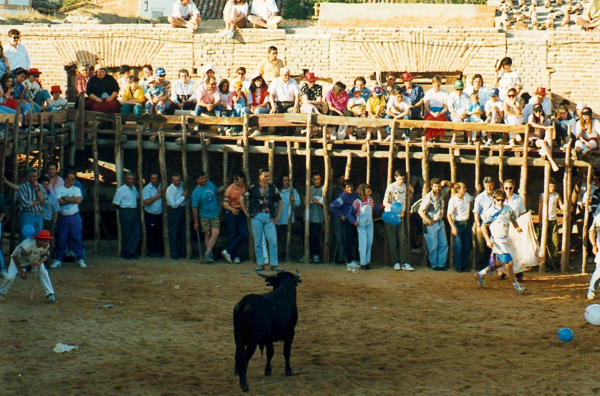Vaquillas durante las fiestas de San Antonio 1993.