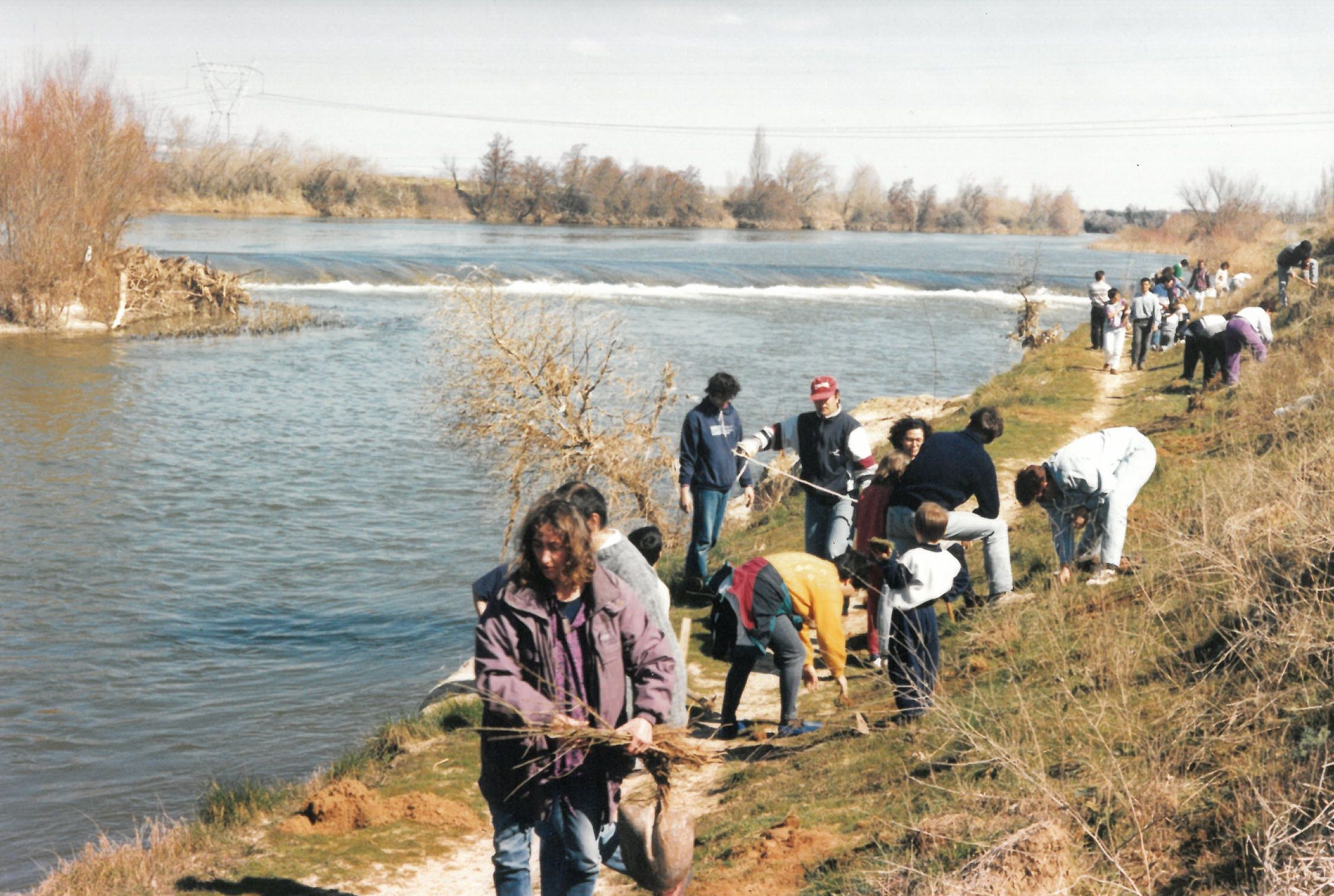 Plantación de árboles junto al río. 10 de marzo de 1996.