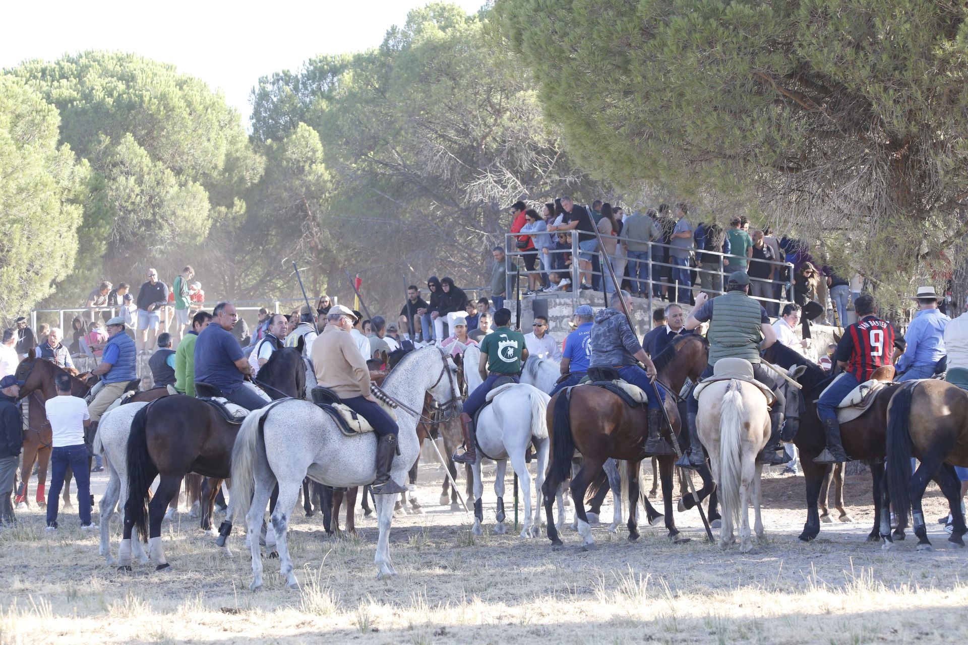 Las imágenes del último encierro en Arrabal de Portillo
