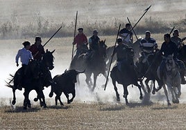 Último encierro de las fiestas de Arrabal de Portillo, este domingo por la mañana.