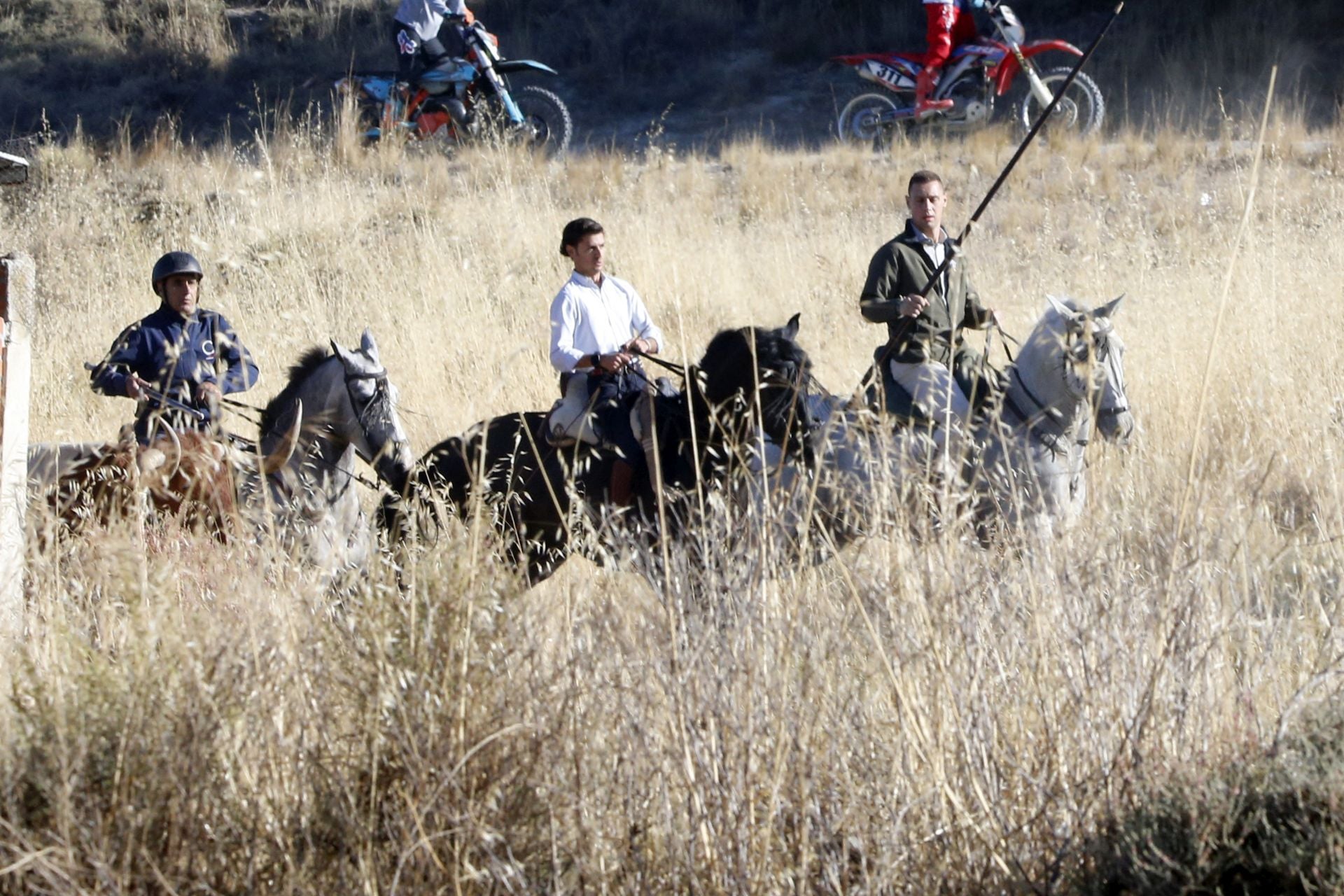 Las imágenes del último encierro en Arrabal de Portillo