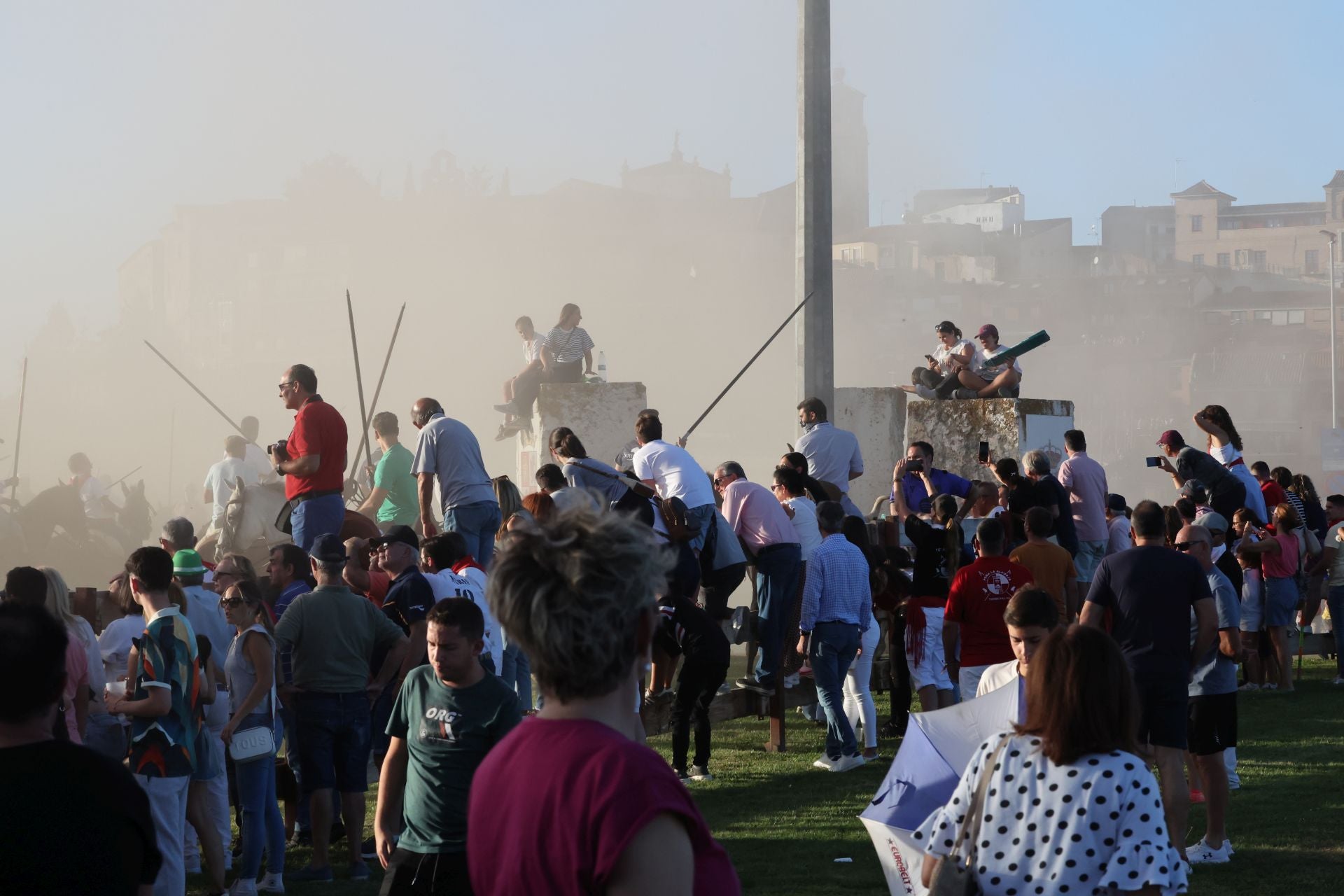 El encierro de campo de Tordesillas en imágenes