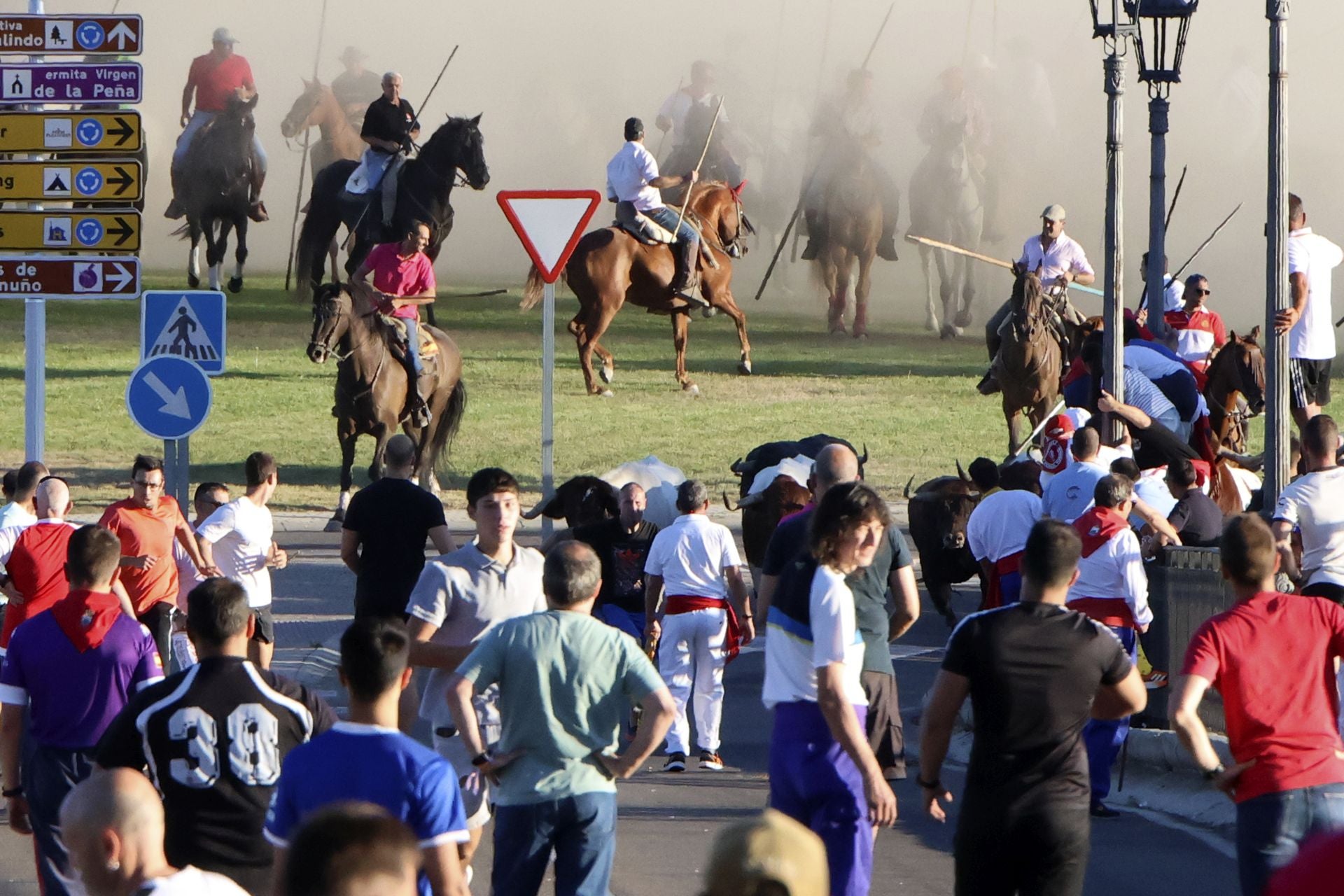 El encierro de campo de Tordesillas en imágenes