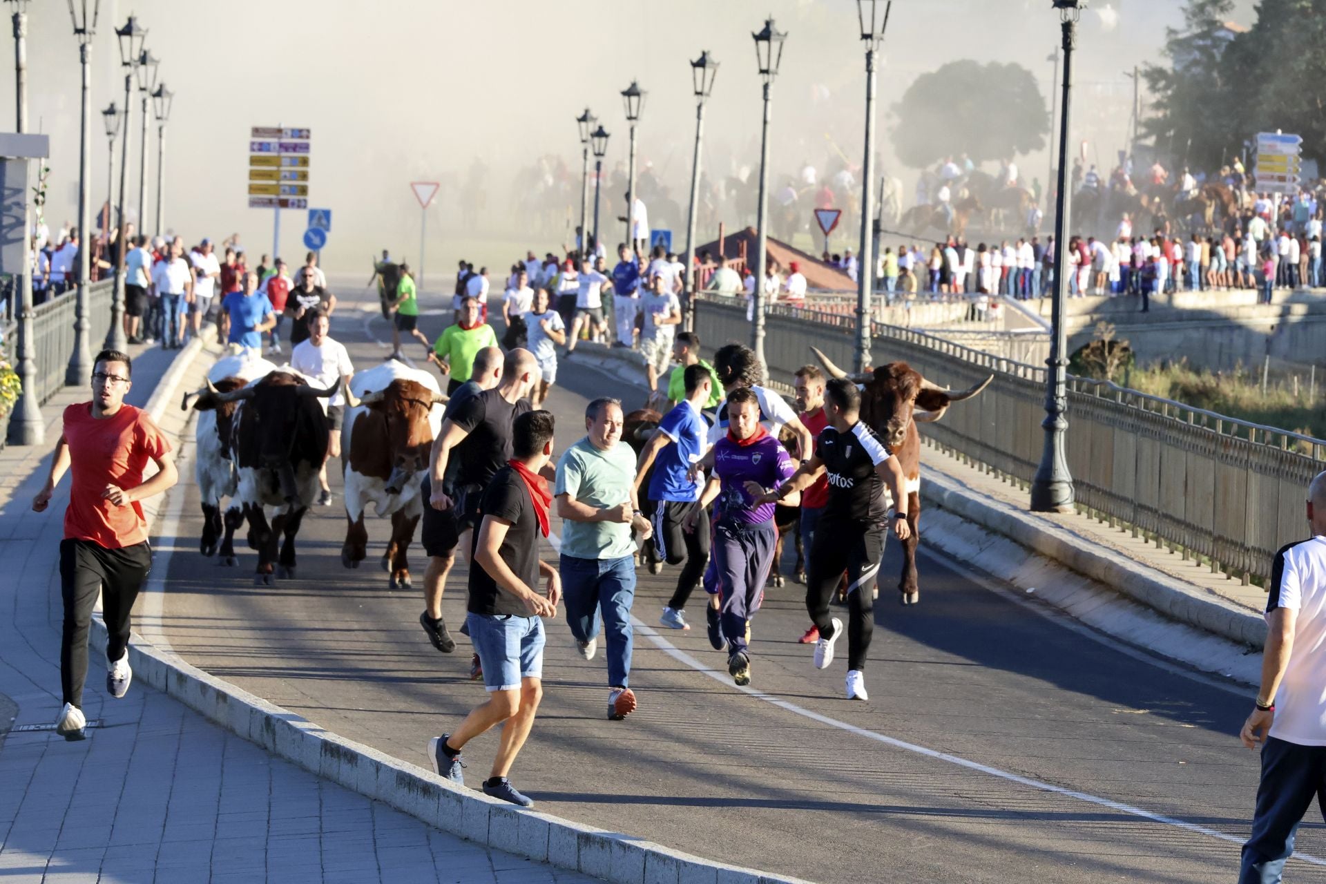 El encierro de campo de Tordesillas en imágenes
