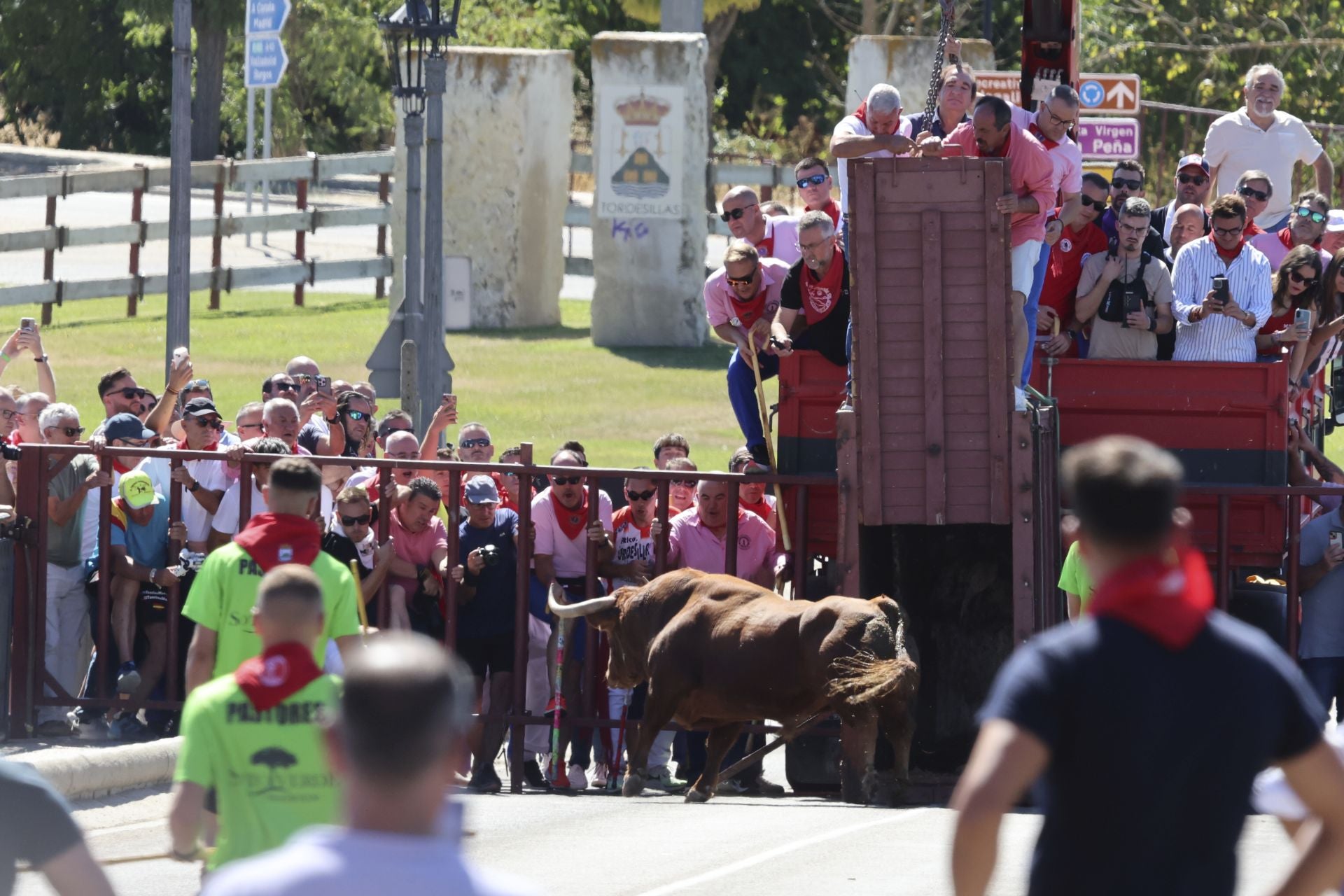 Las imponentes imágenes del toro de cajón en Tordesillas