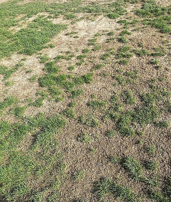 Imagen secundaria 2 - El CD Laguna arranca la temporada… sin campo