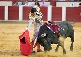 Tomás Rufo, durante la faena el pasado sábado en Valladolid.