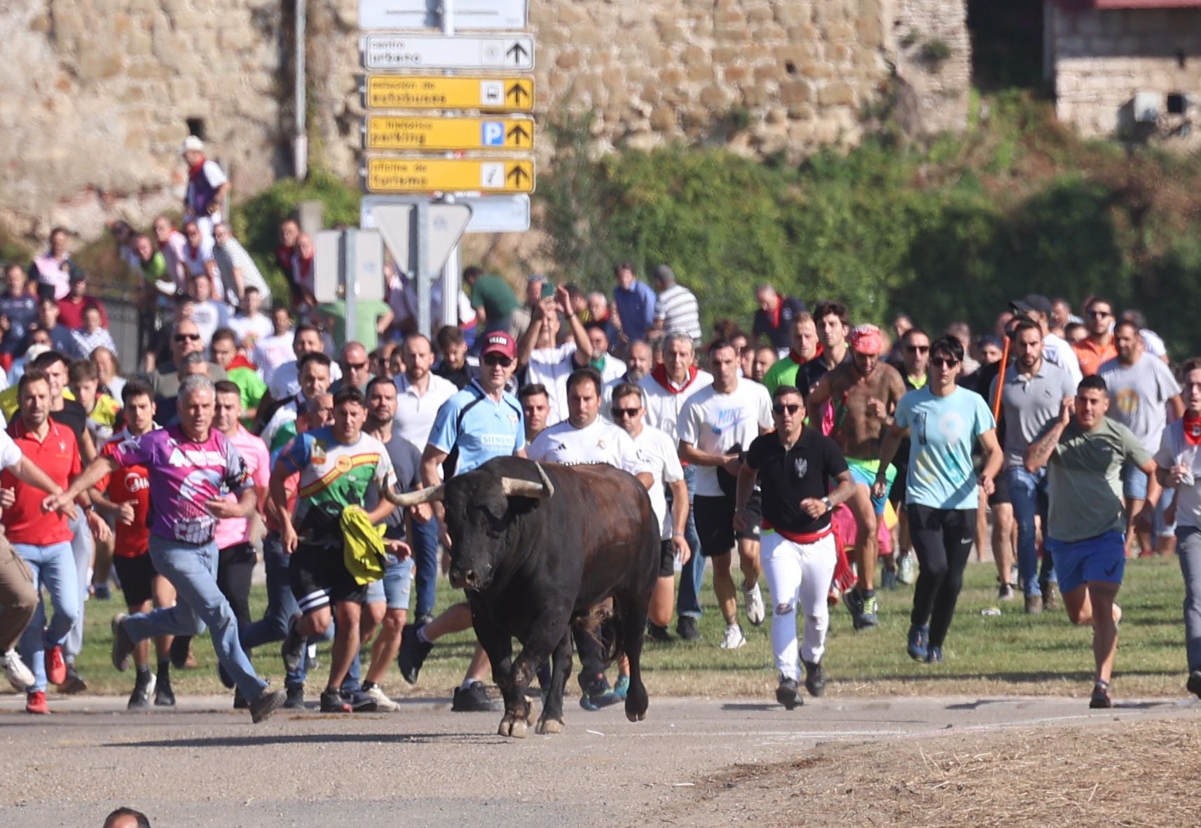 Las imágenes del Toro de la Vega