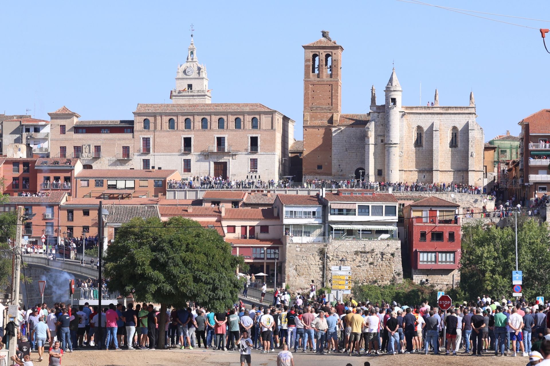 Las imágenes del Toro de la Vega