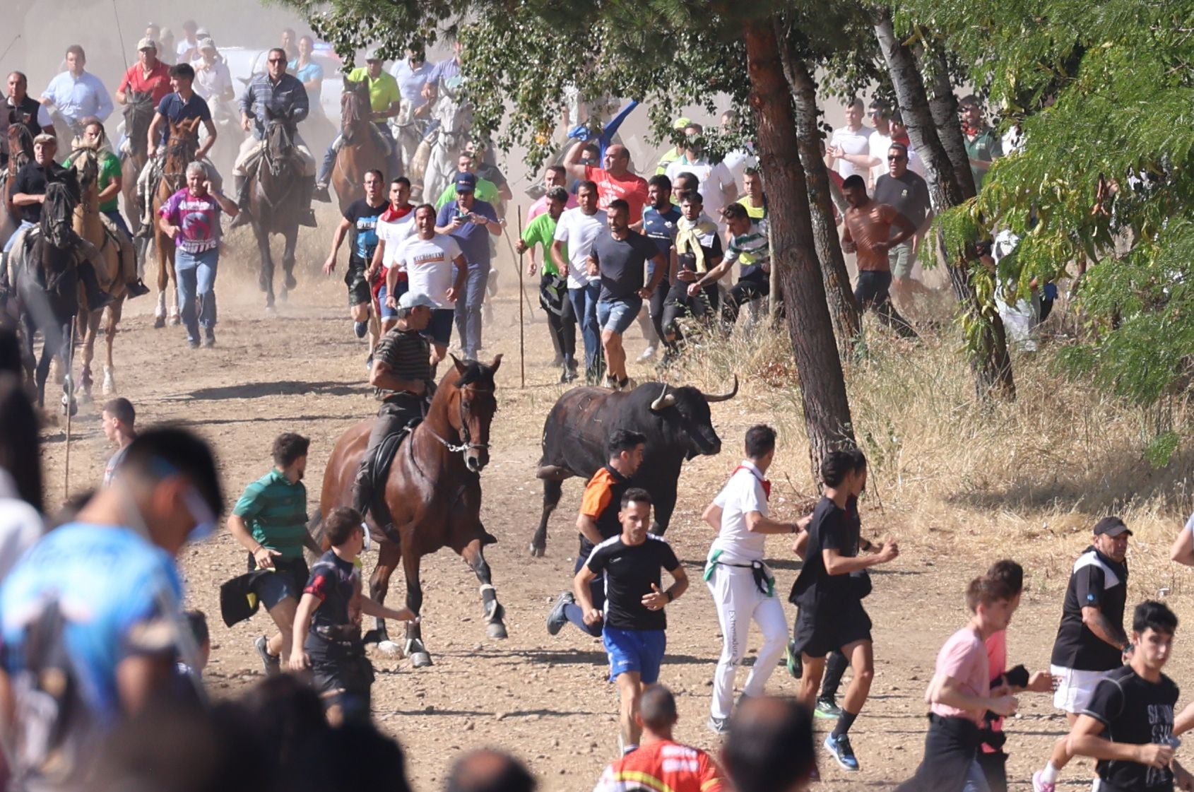 Las imágenes del Toro de la Vega