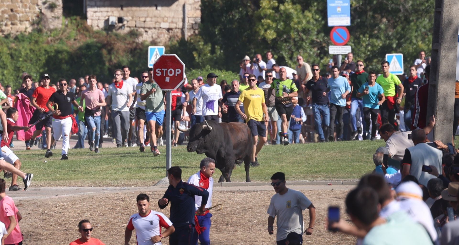 Las imágenes del Toro de la Vega