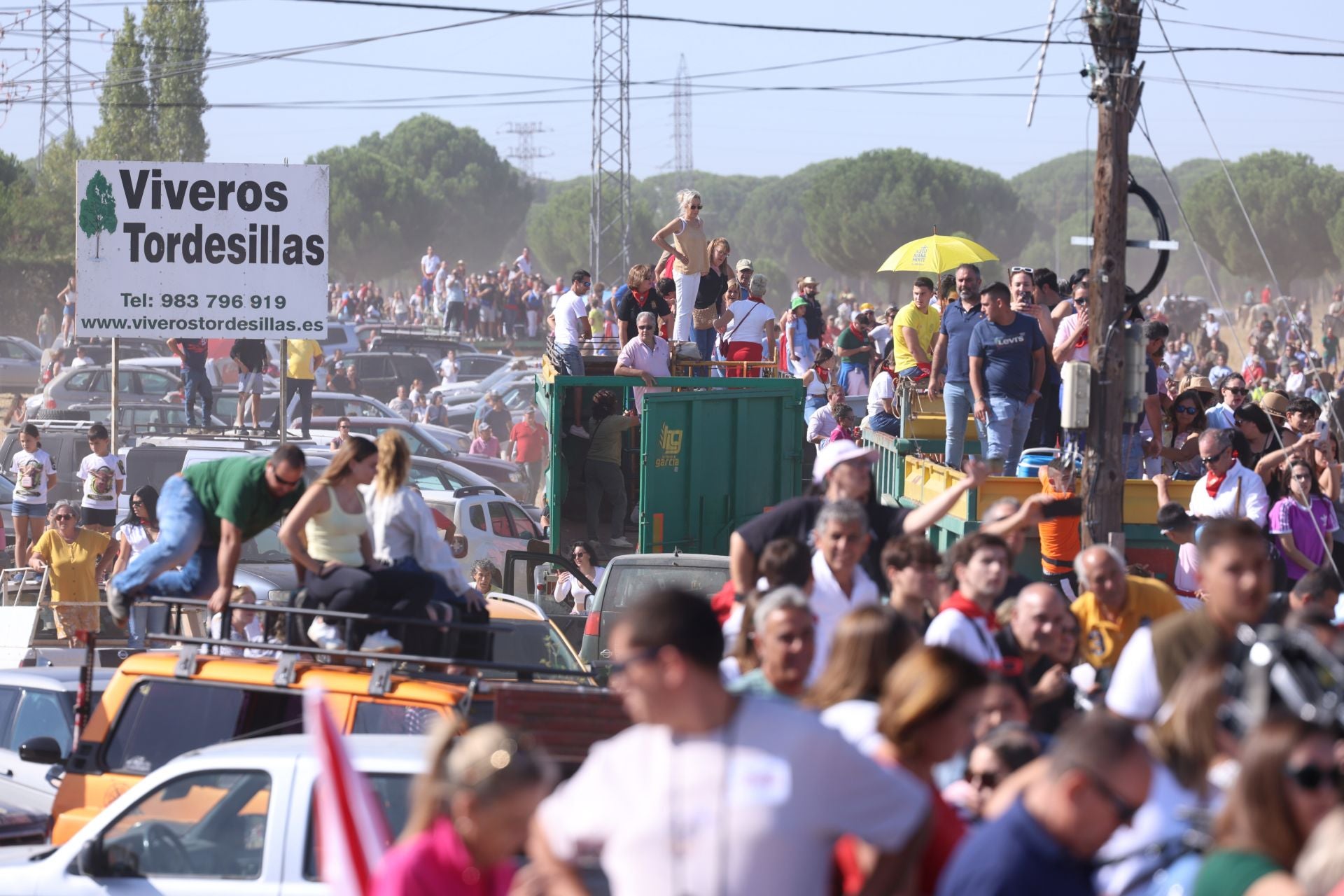 Las imágenes del Toro de la Vega