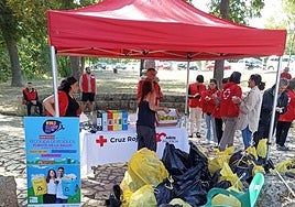 Jornada de recogida de residuos el año pasado en la Fuente de la Salud.