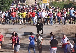 El toro de la Vega de este año.
